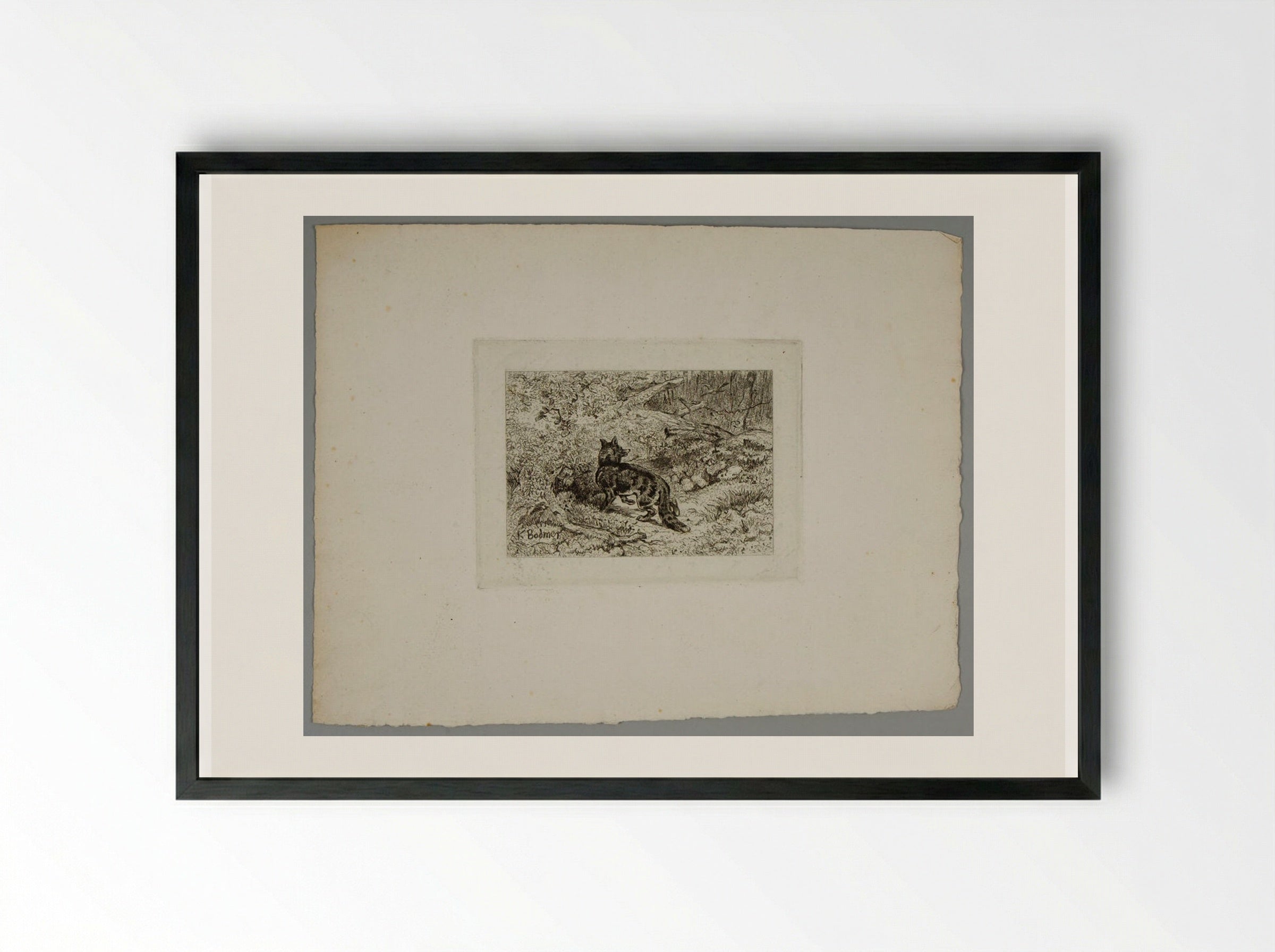 Fox Returning to Its Den - Karl Bodmer - Framed Print Black