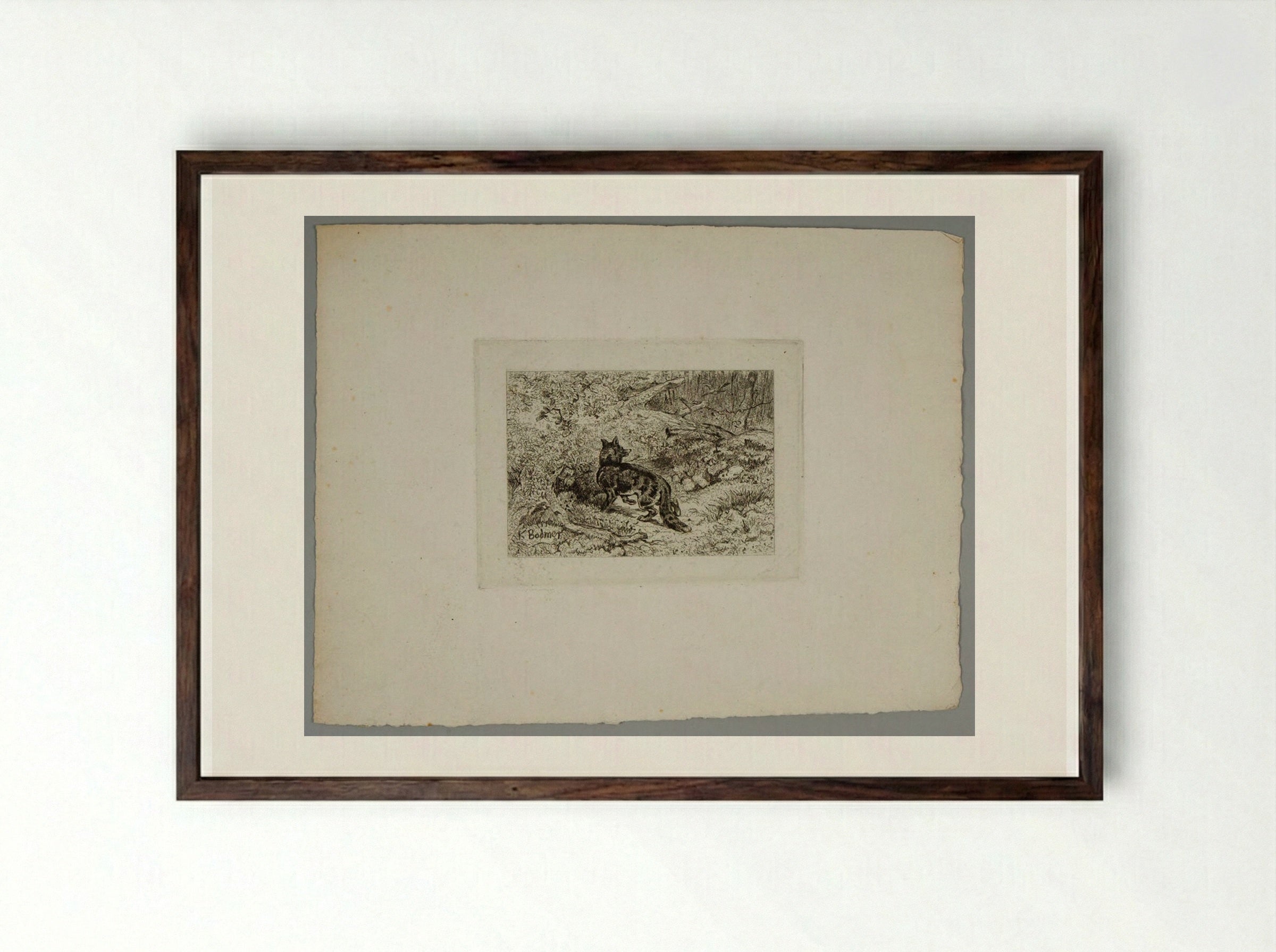 Fox Returning to Its Den - Karl Bodmer - Framed Print Dark Wood