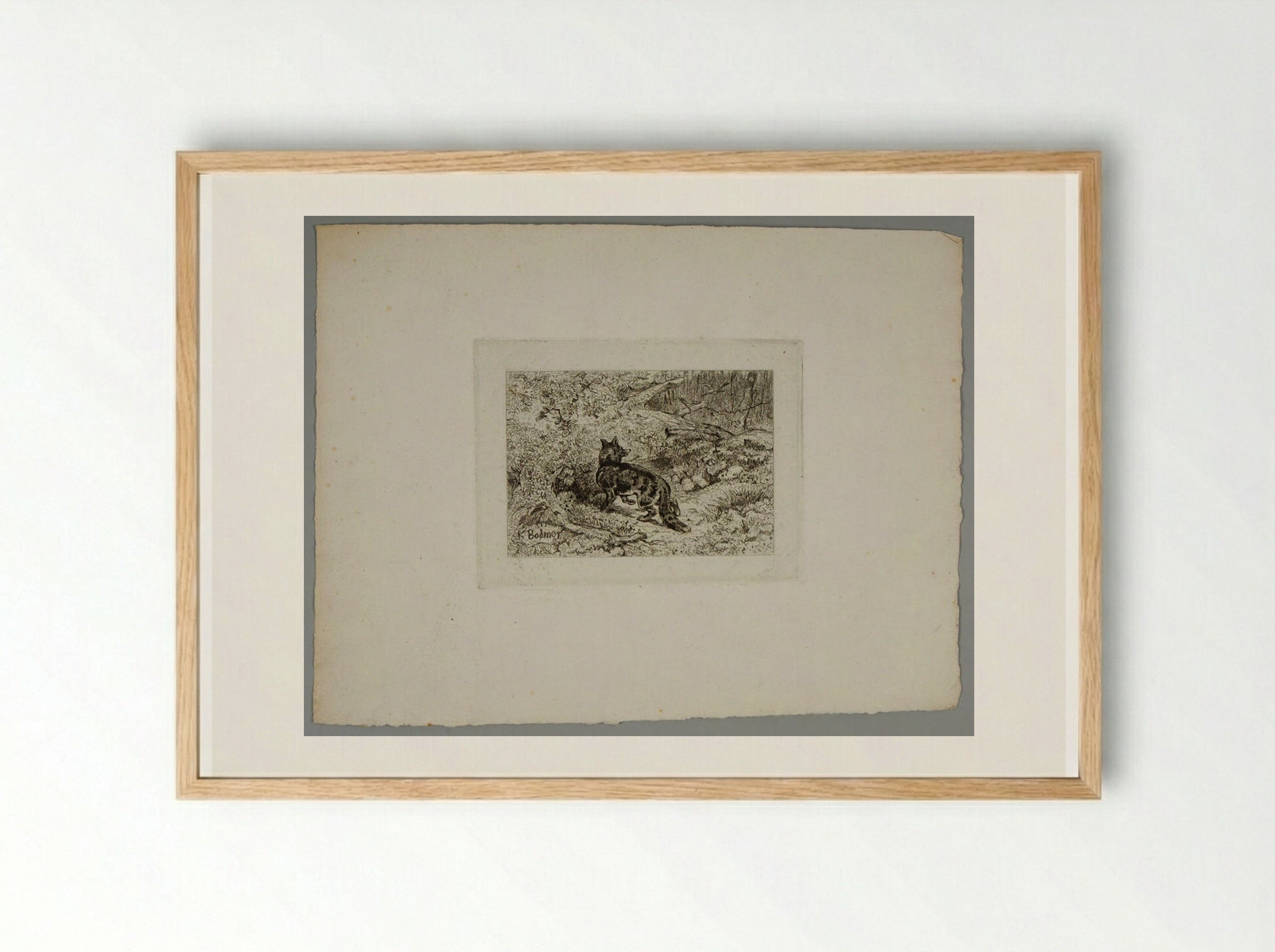 Fox Returning to Its Den - Karl Bodmer - Framed Print Wood