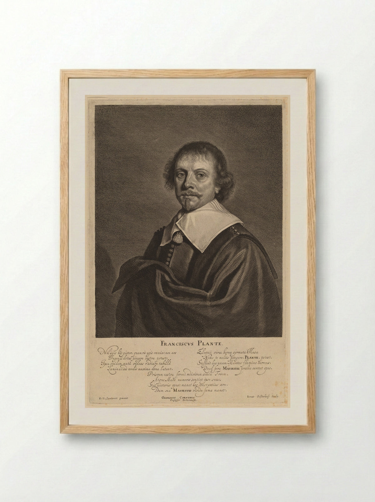 Franciscus Plante - Jonas Suyderhoef - Framed Print Wood