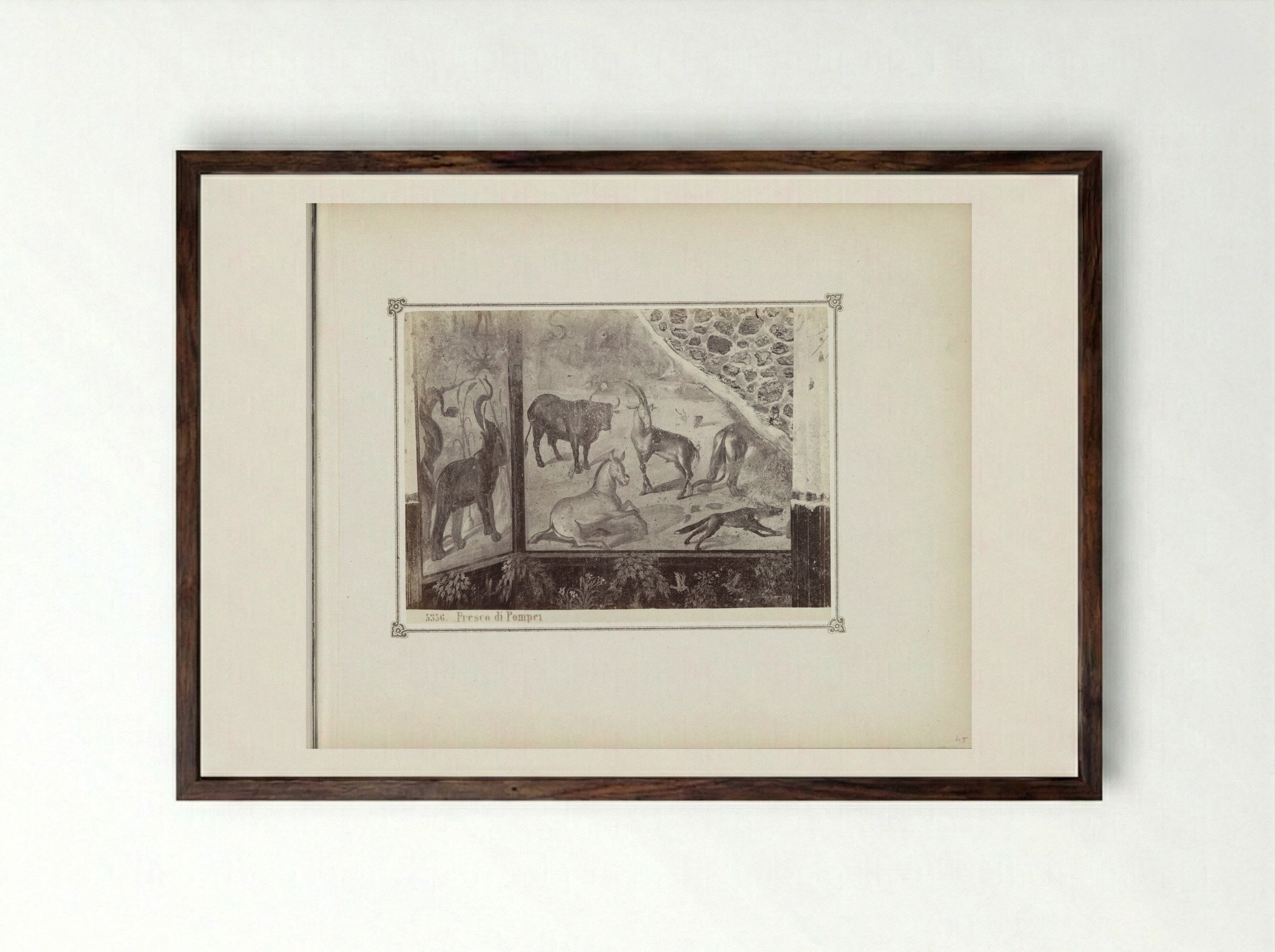 Fresco in Pompeii, Depicting Wild Animals - Giorgio Sommer - Framed Print Dark Wood
