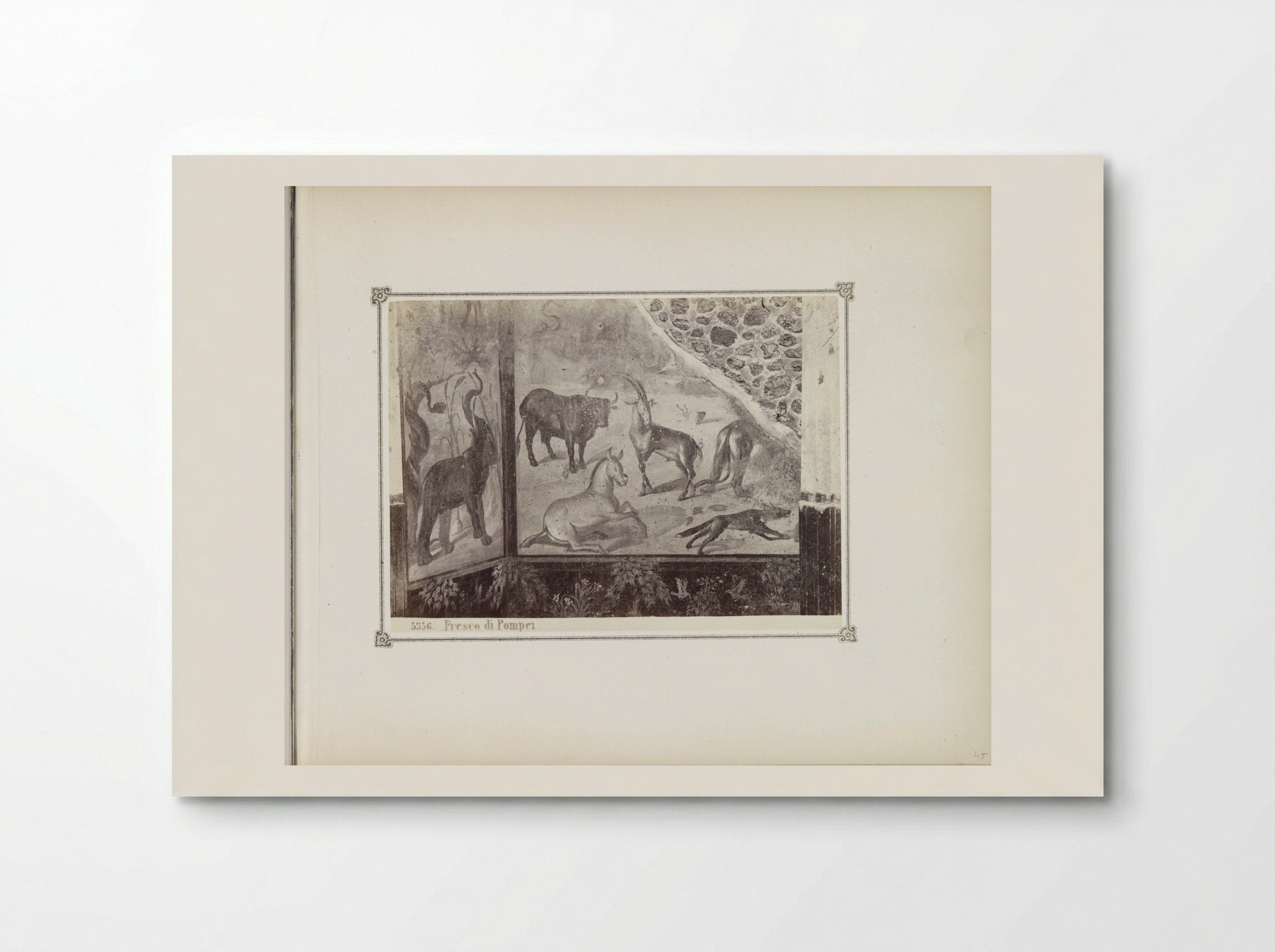 Fresco in Pompeii, Depicting Wild Animals - Giorgio Sommer - Poster