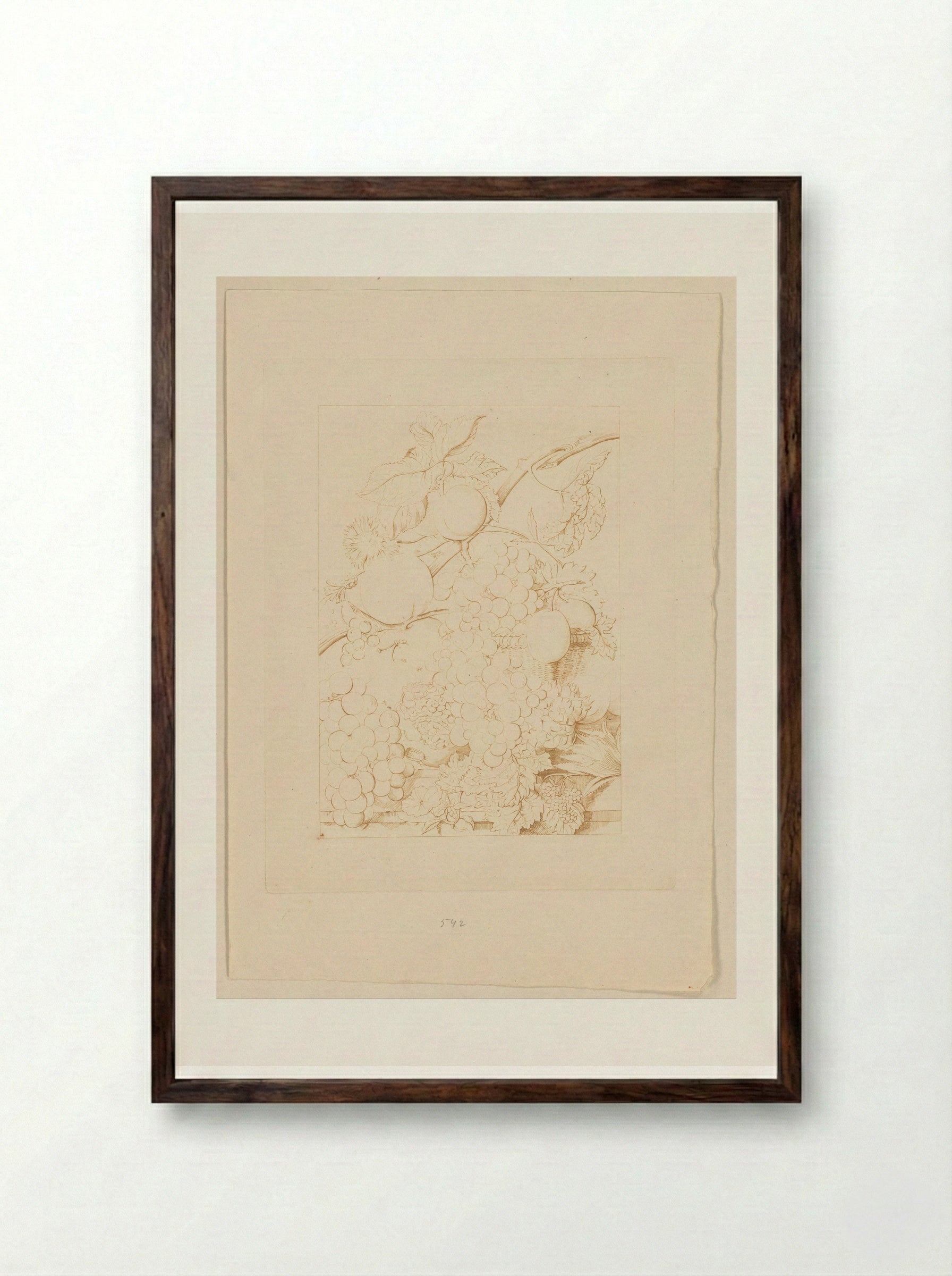 Fruitstuk - Cornelis Ploos van Amstel - Framed Print Dark Wood