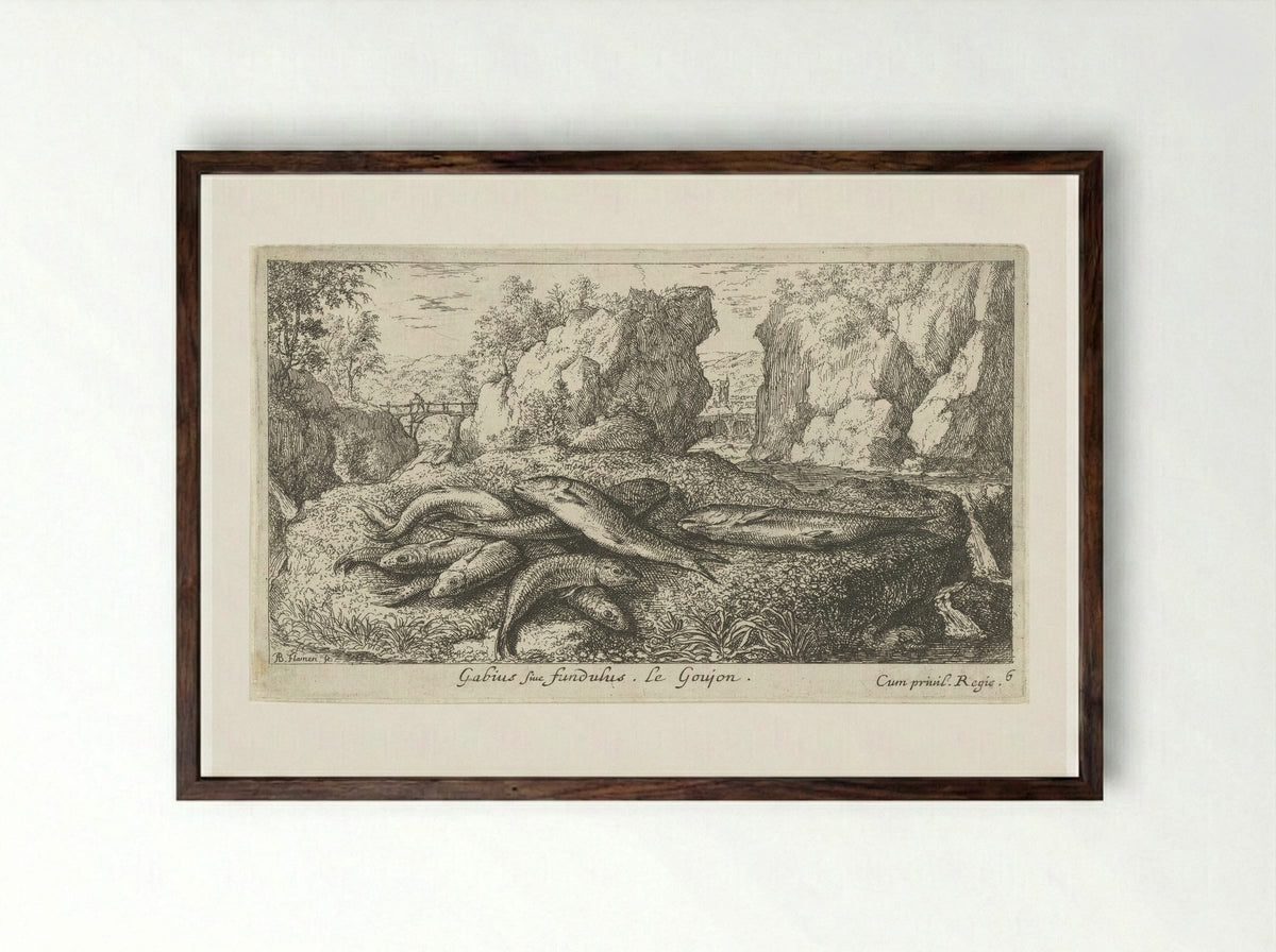 Gabius sive fundulus - Albert Flamen - Framed Print Dark Wood