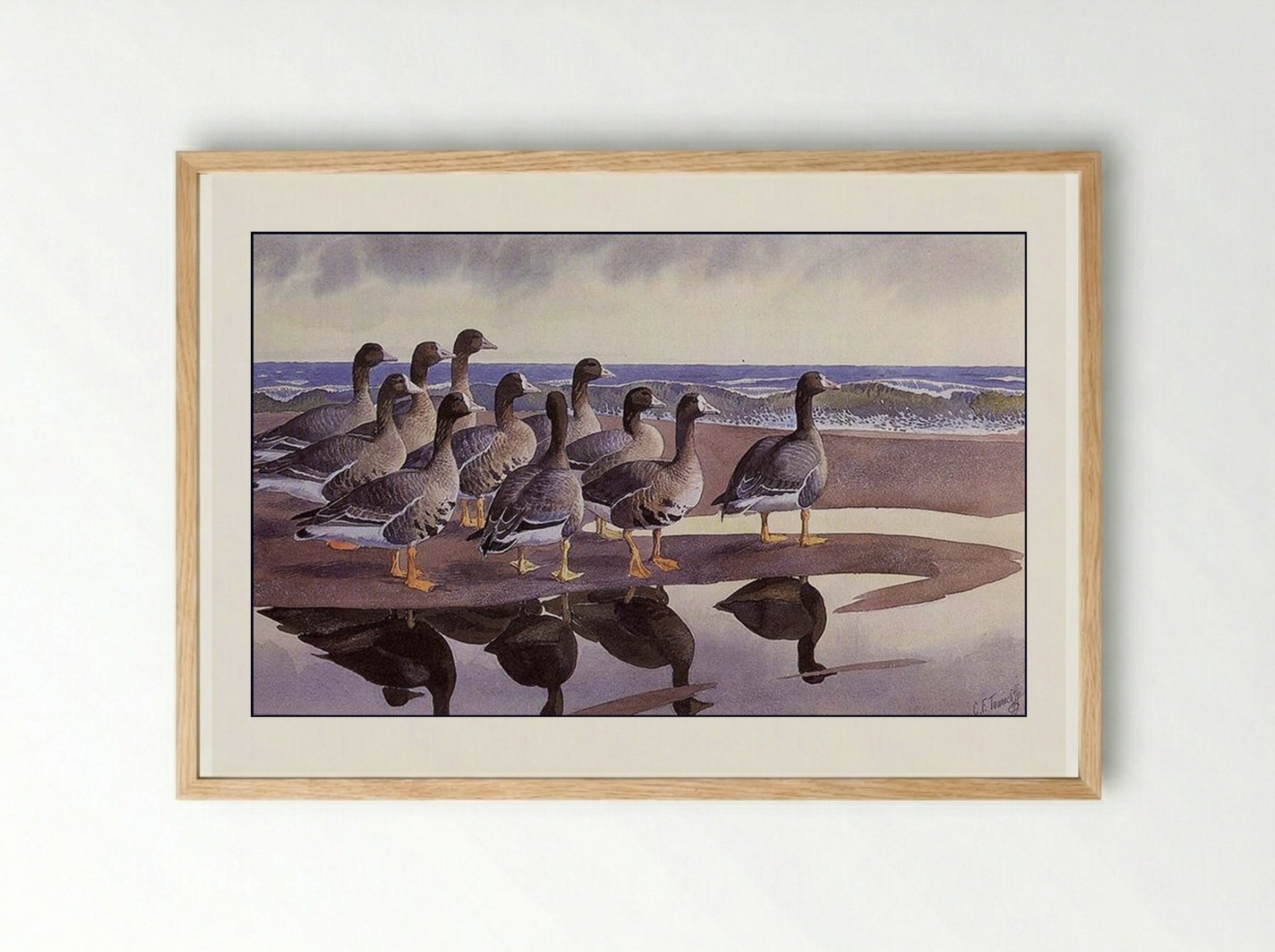 Gaggle at the Bar - Charles Tunnicliffe - Framed Print Wood