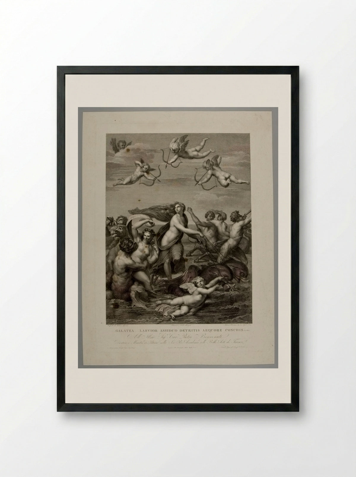 Galatea (After Raphael) - Antonio Ricciani - Framed Print Black