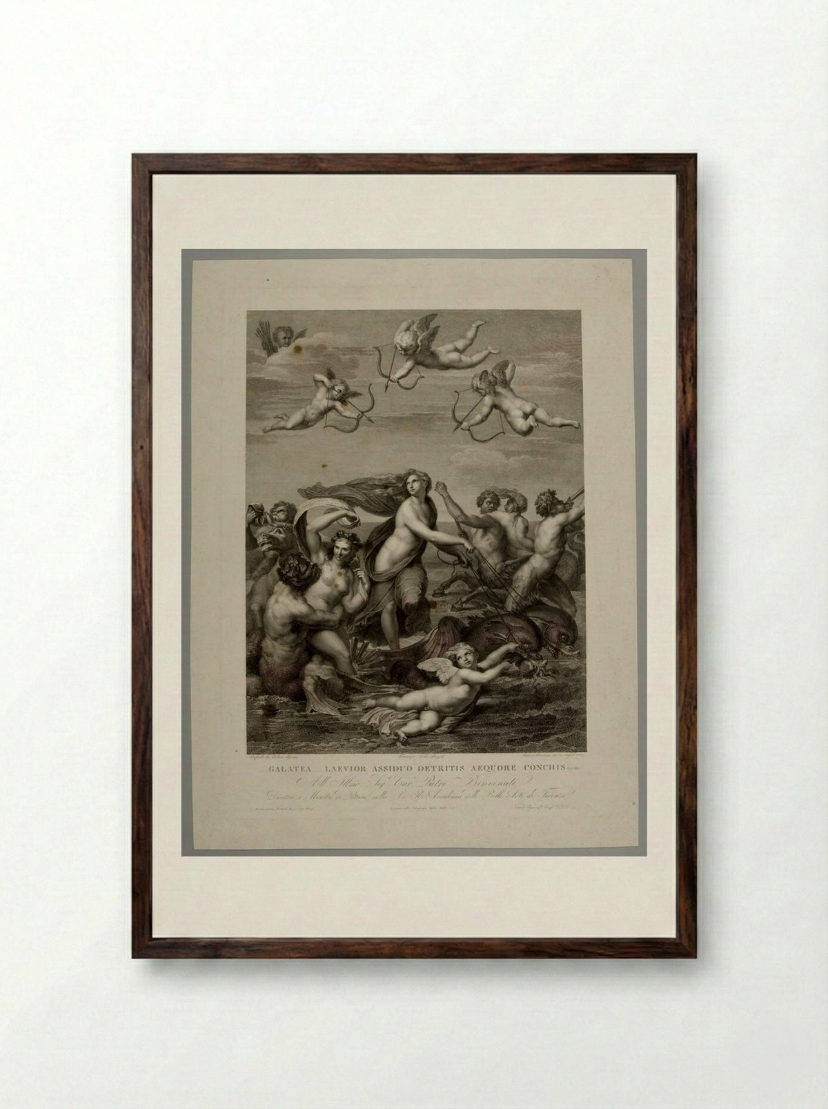 Galatea (After Raphael) - Antonio Ricciani - Framed Print Dark Wood