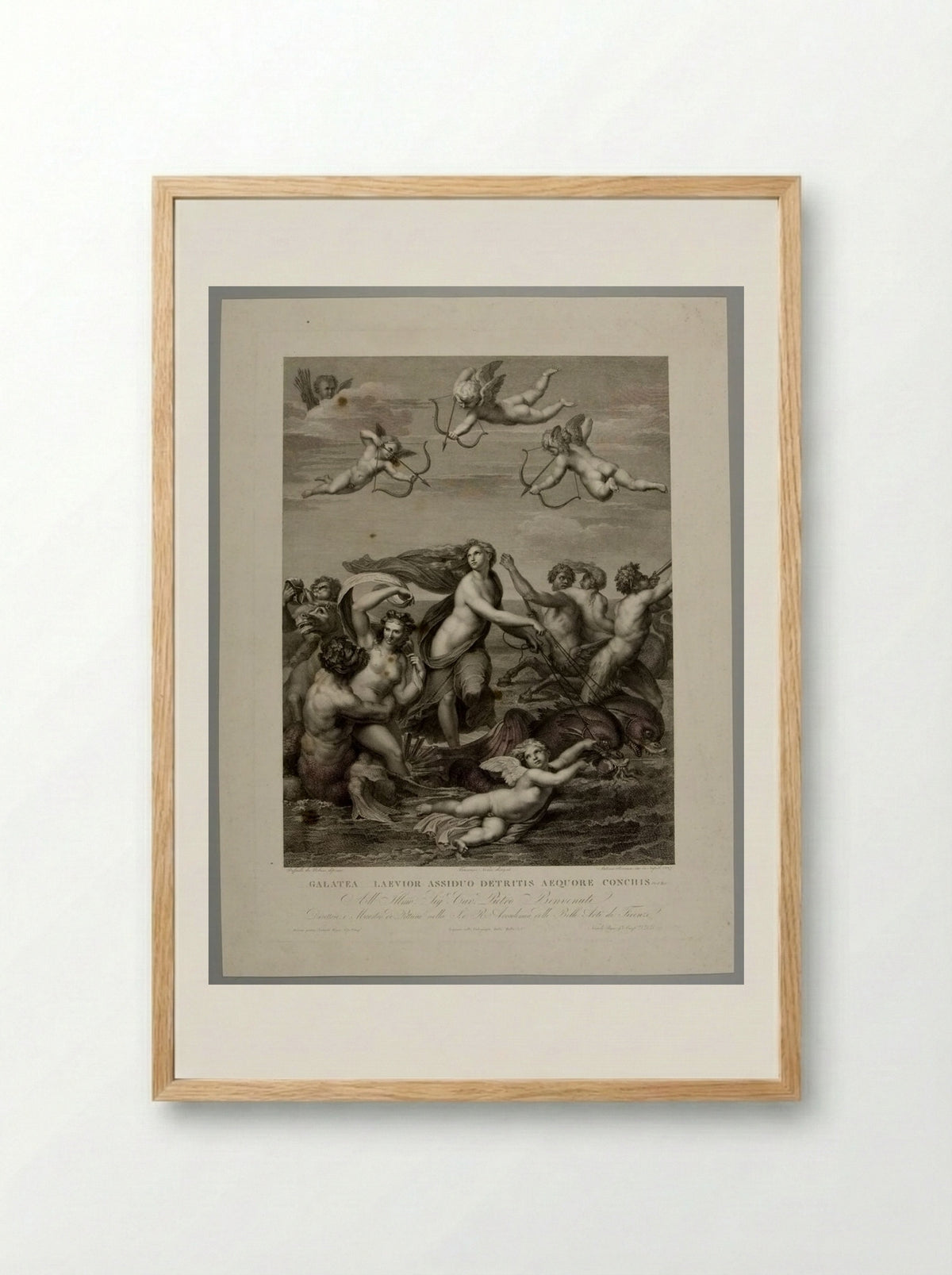 Galatea (After Raphael) - Antonio Ricciani - Framed Print Wood