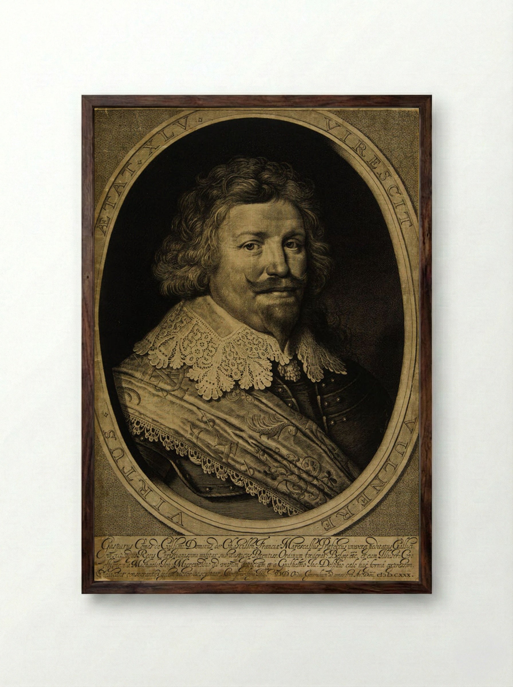 Gaspard de Coligny, Marechal of France - Willem Jacobszoon Delff - Framed Print Dark Wood
