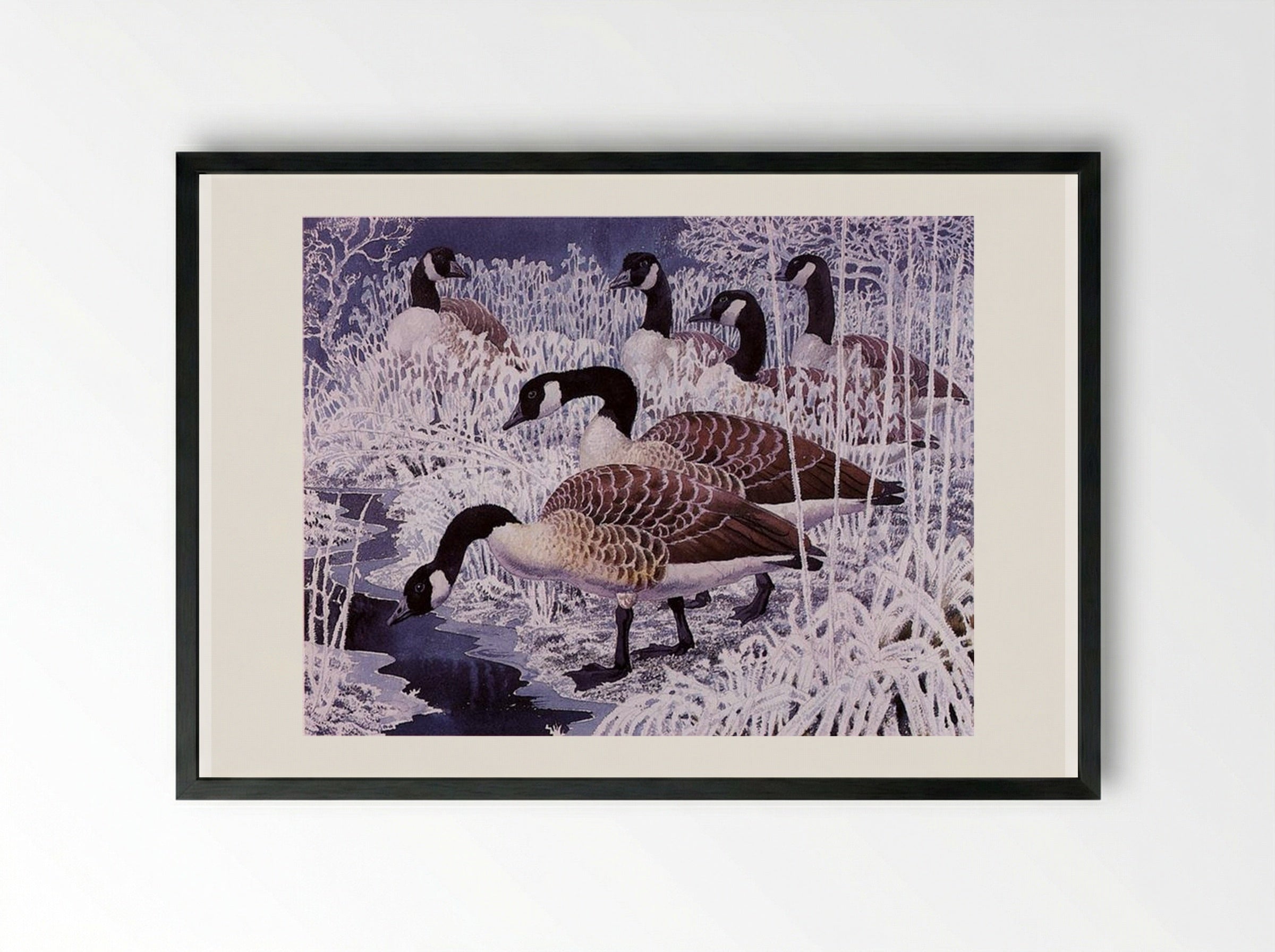 Geese and hoar-frost - Charles Tunnicliffe - Framed Print Black