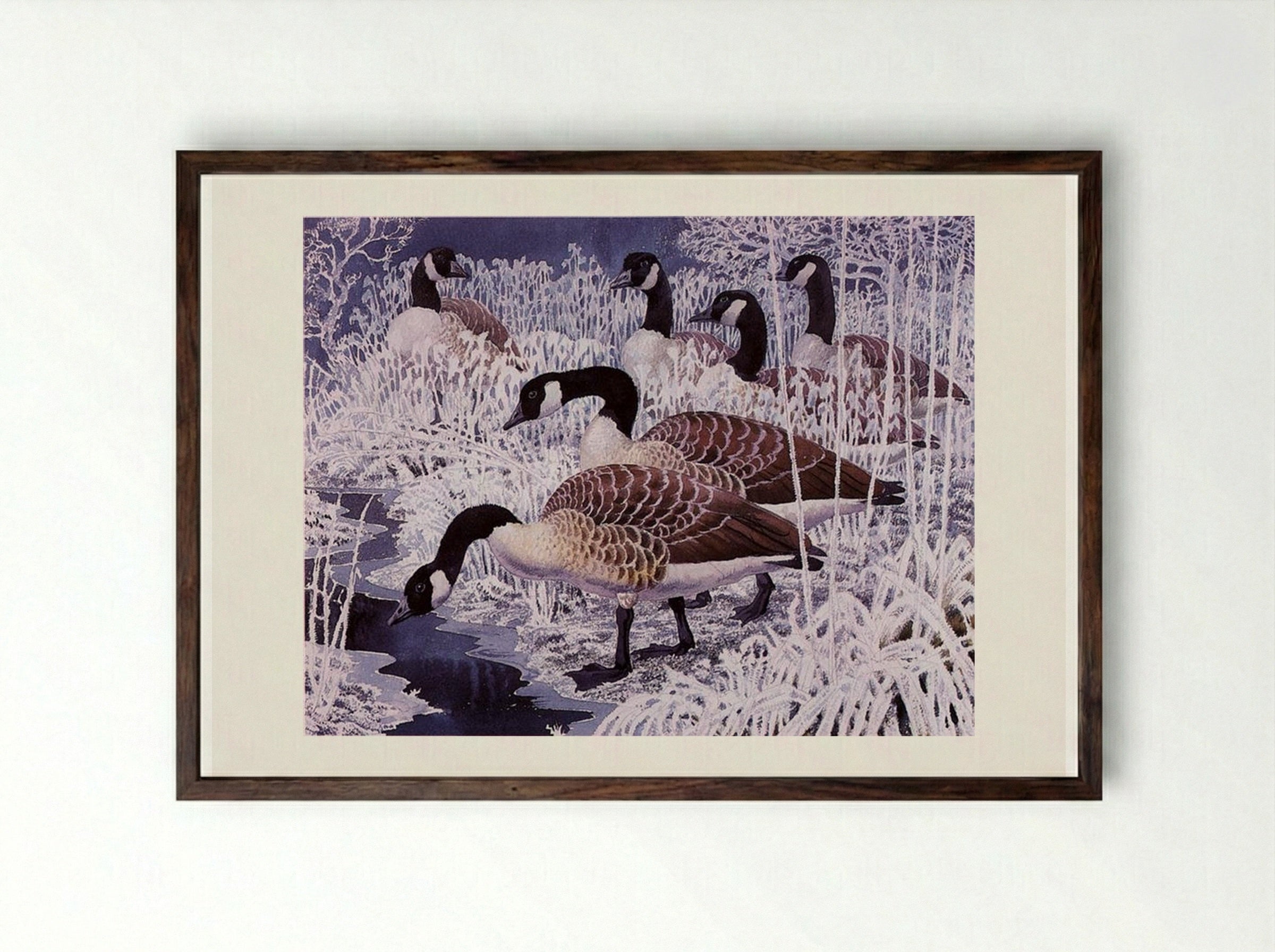 Geese and hoar-frost - Charles Tunnicliffe - Framed Print Dark Wood