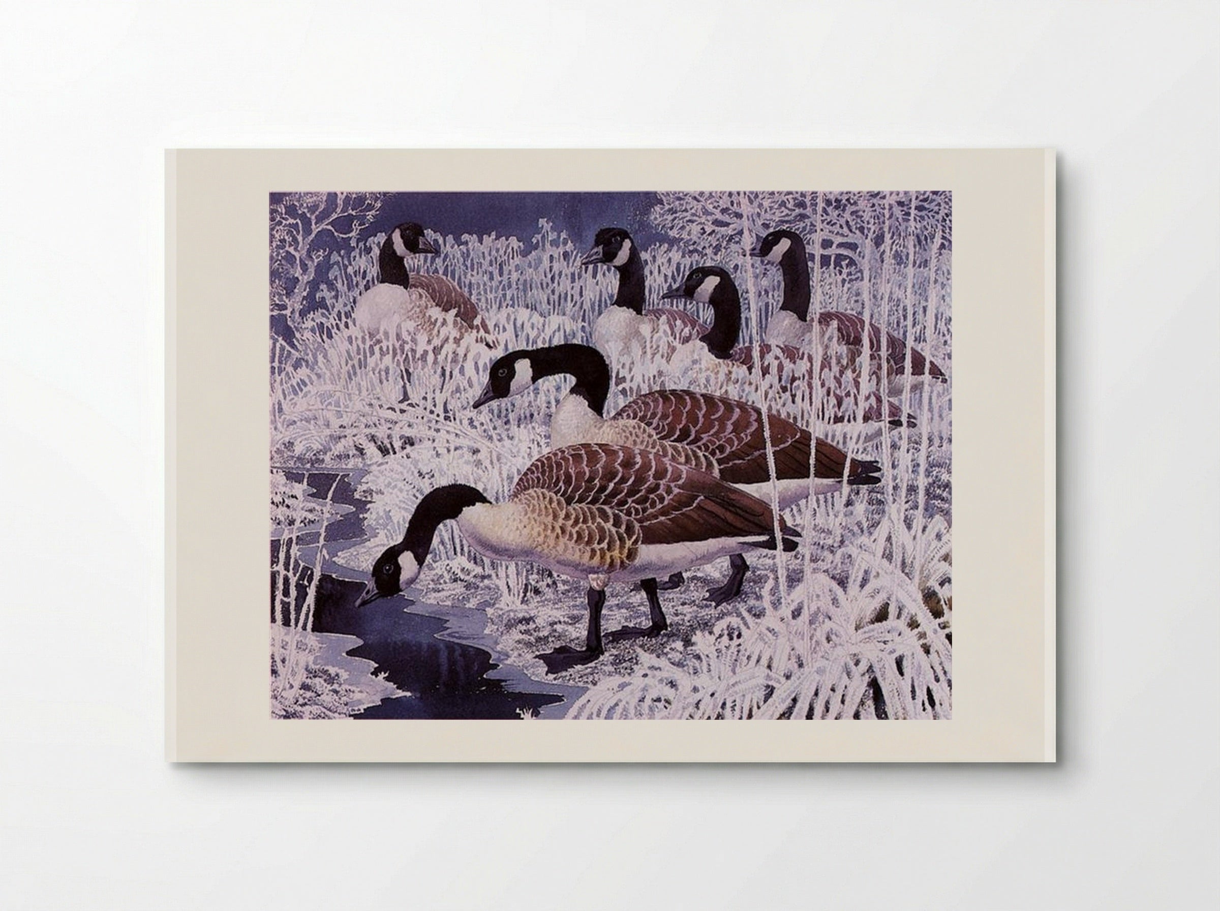 Geese and hoar-frost - Charles Tunnicliffe - Poster