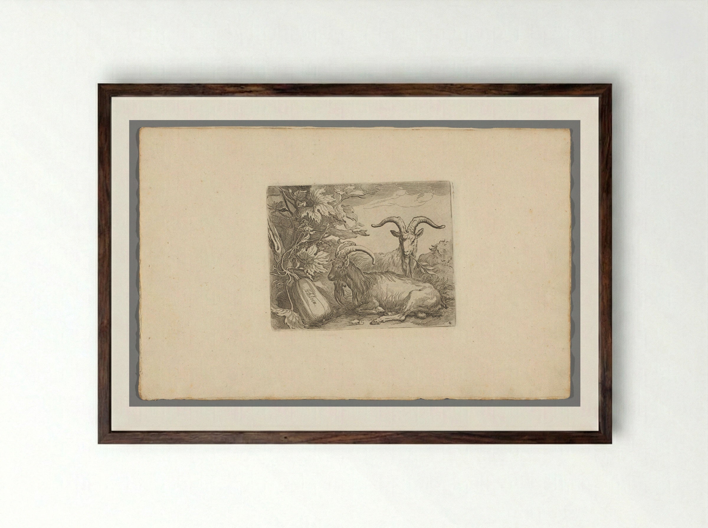 Geiten en kalebas (Goats and Gourd) - Boëtius Adamsz. Bolswert - Framed Print Dark Wood