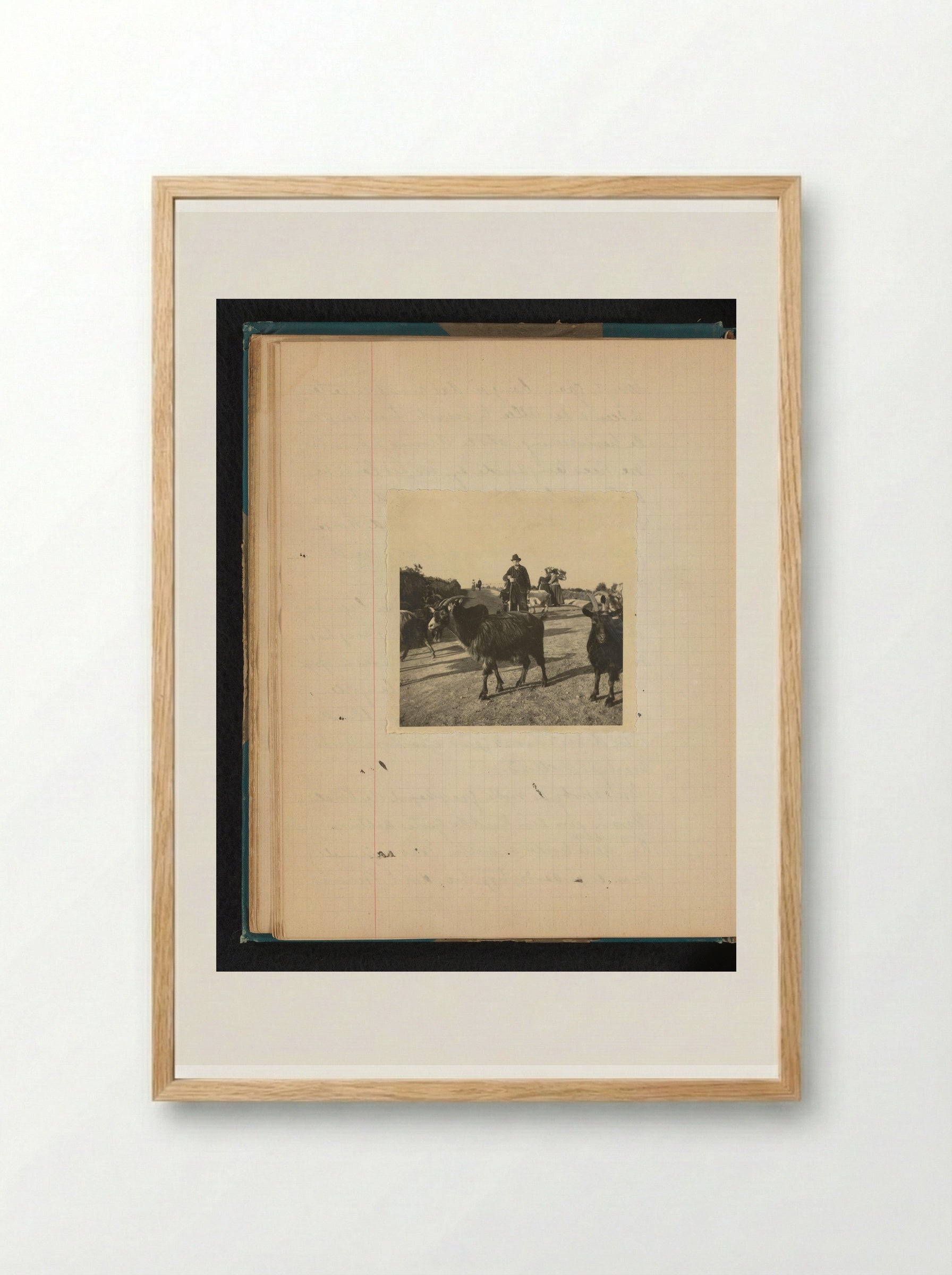 Geiten met daarachter een herder in pak - Théodore van Lelyveld - Framed Print Wood