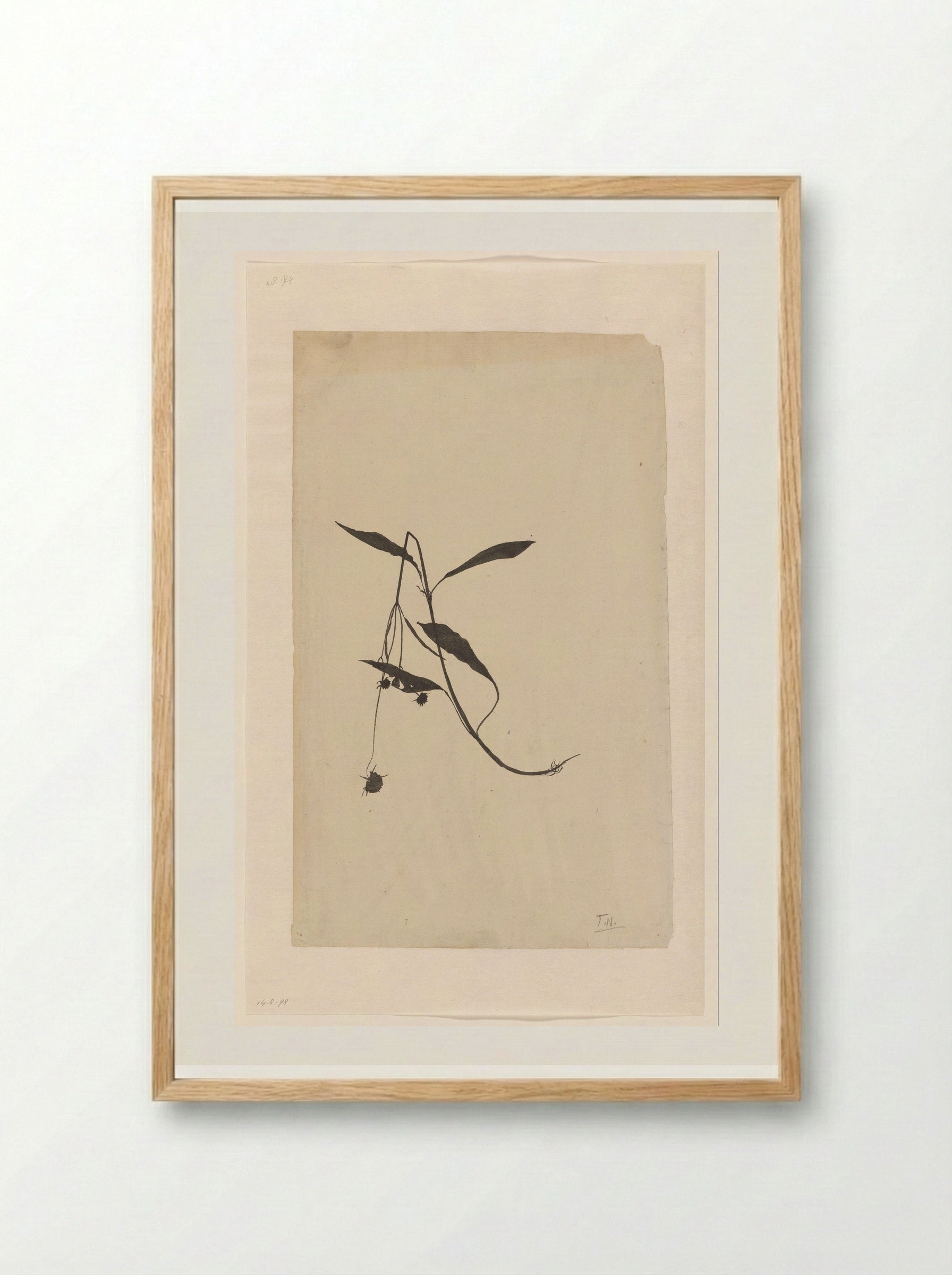 Geknakte stengel van een plant - Theo Nieuwenhuis - Framed Print Wood