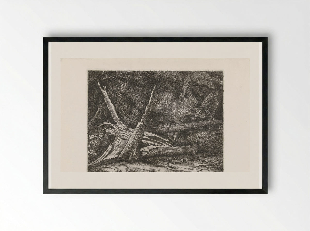 Gevelde bomen na een storm - Jacobus Ludovicus Cornet - Framed Print Black