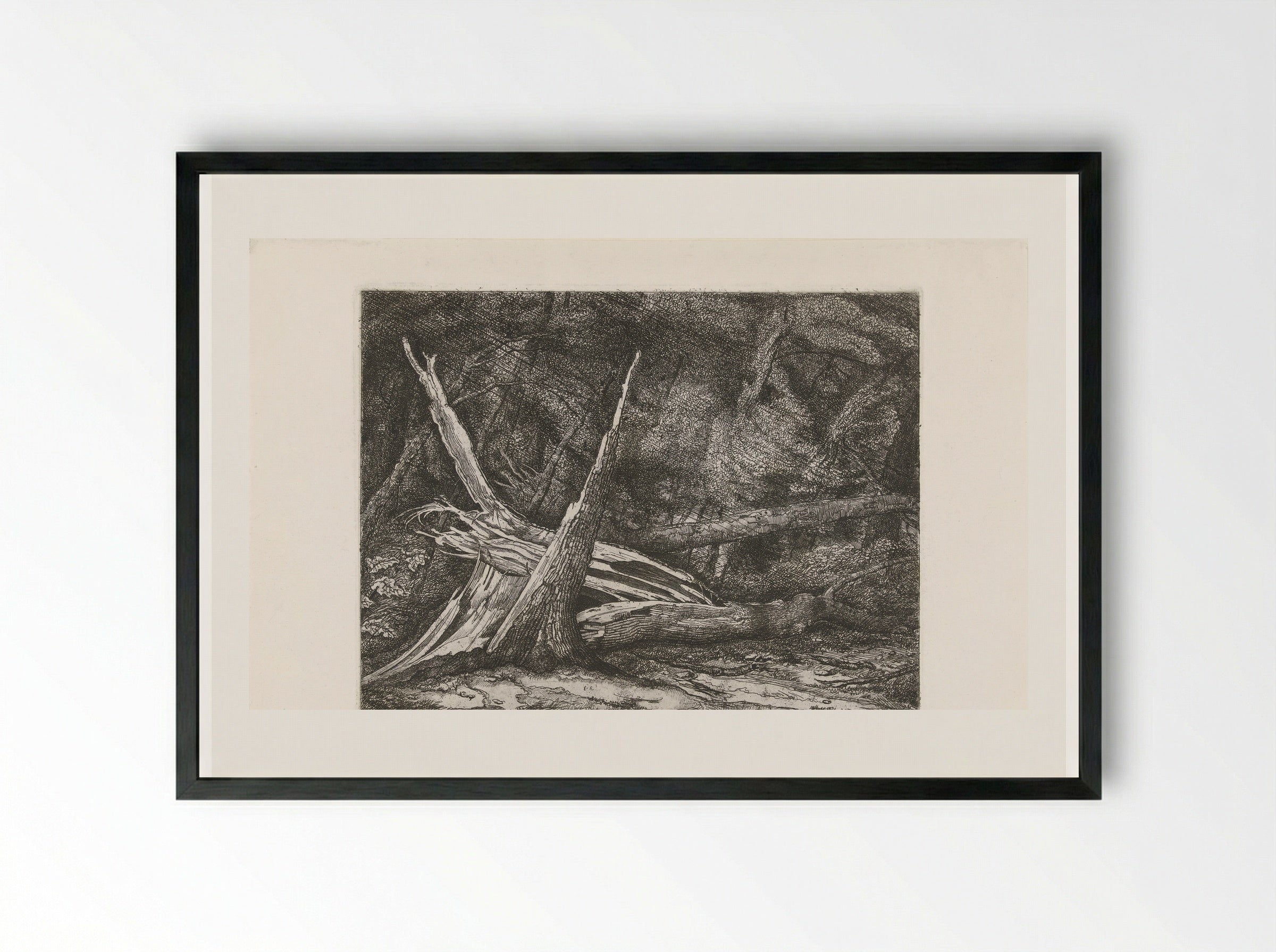 Gevelde bomen na een storm - Jacobus Ludovicus Cornet - Framed Print Black