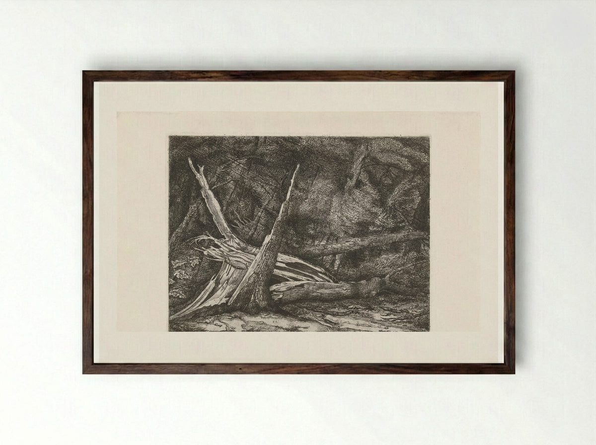 Gevelde bomen na een storm - Jacobus Ludovicus Cornet - Framed Print Dark Wood