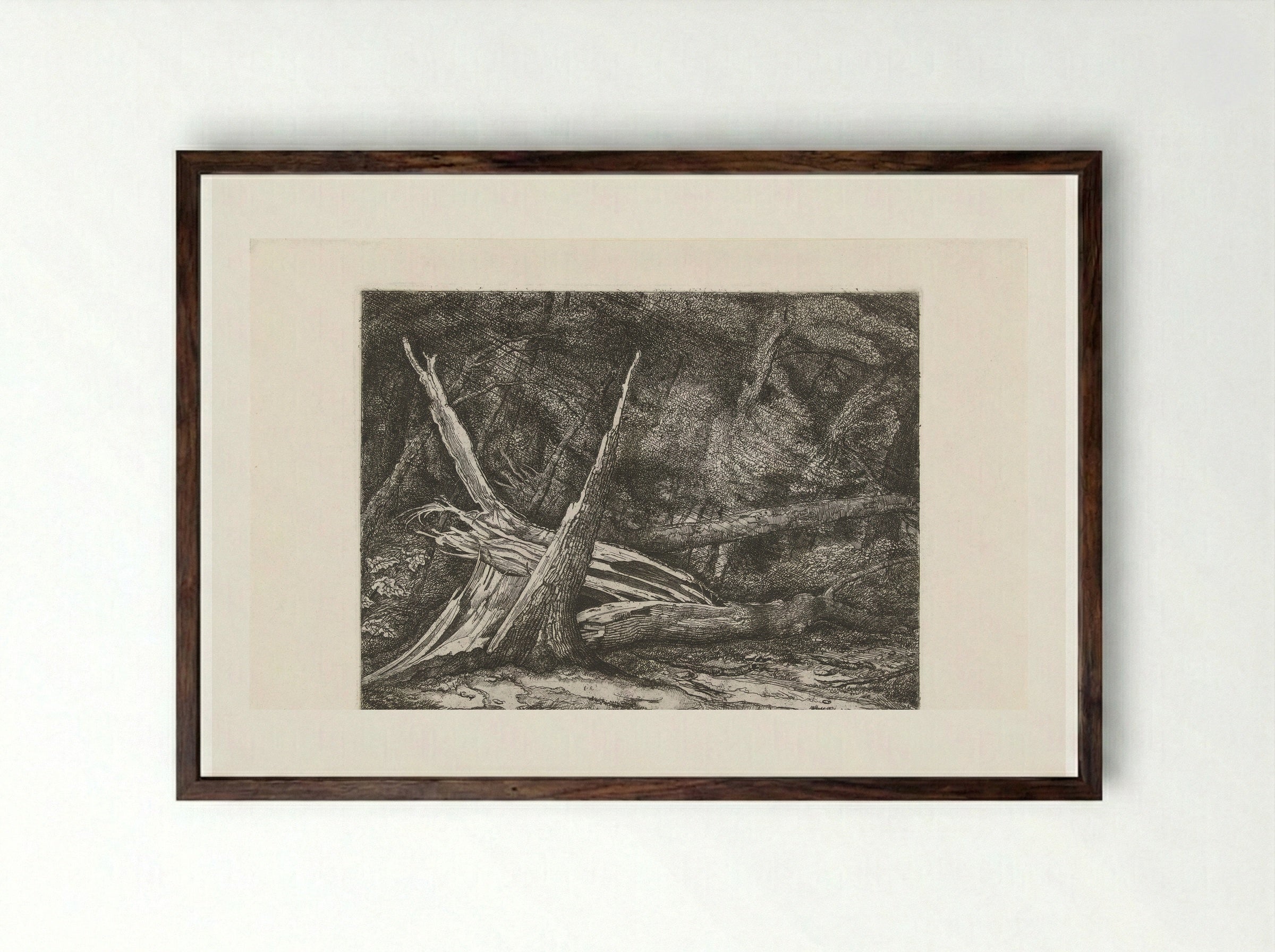 Gevelde bomen na een storm - Jacobus Ludovicus Cornet - Framed Print Dark Wood