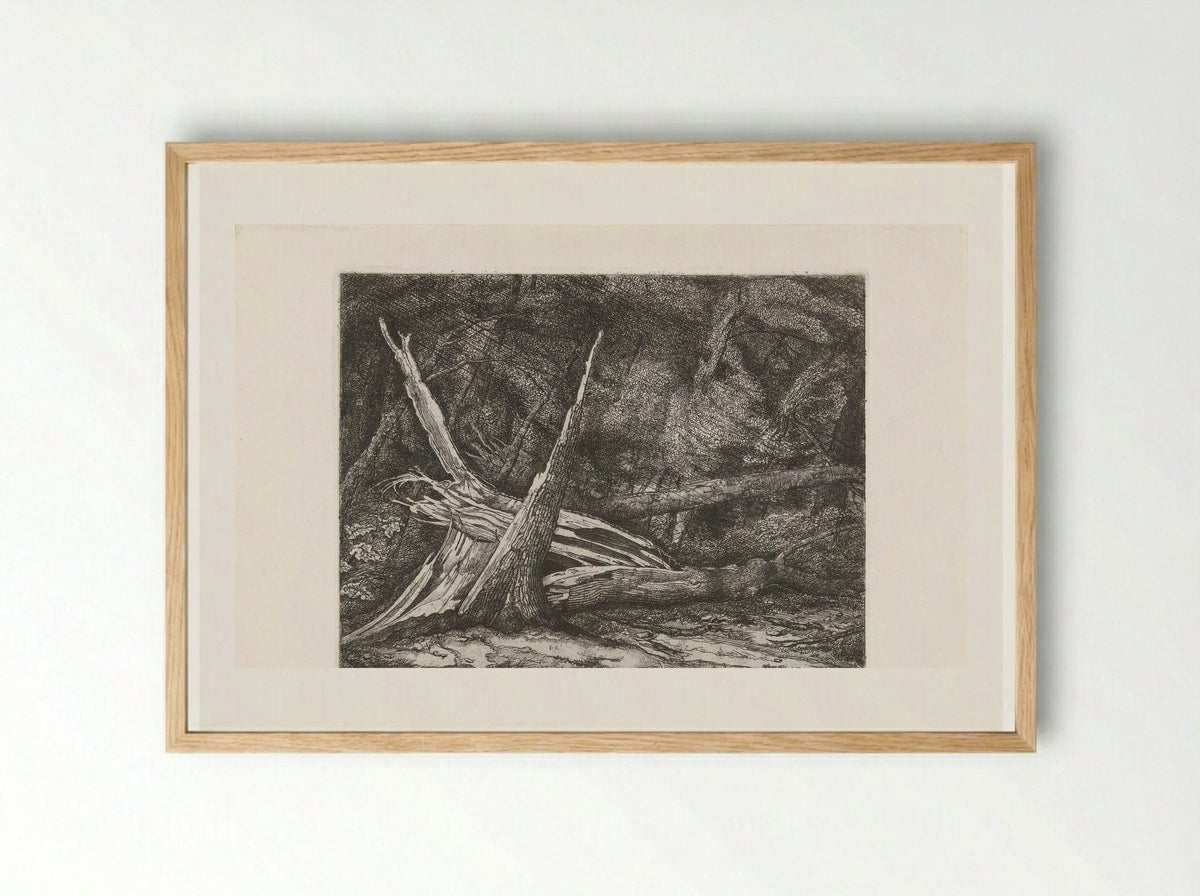 Gevelde bomen na een storm - Jacobus Ludovicus Cornet - Framed Print Wood