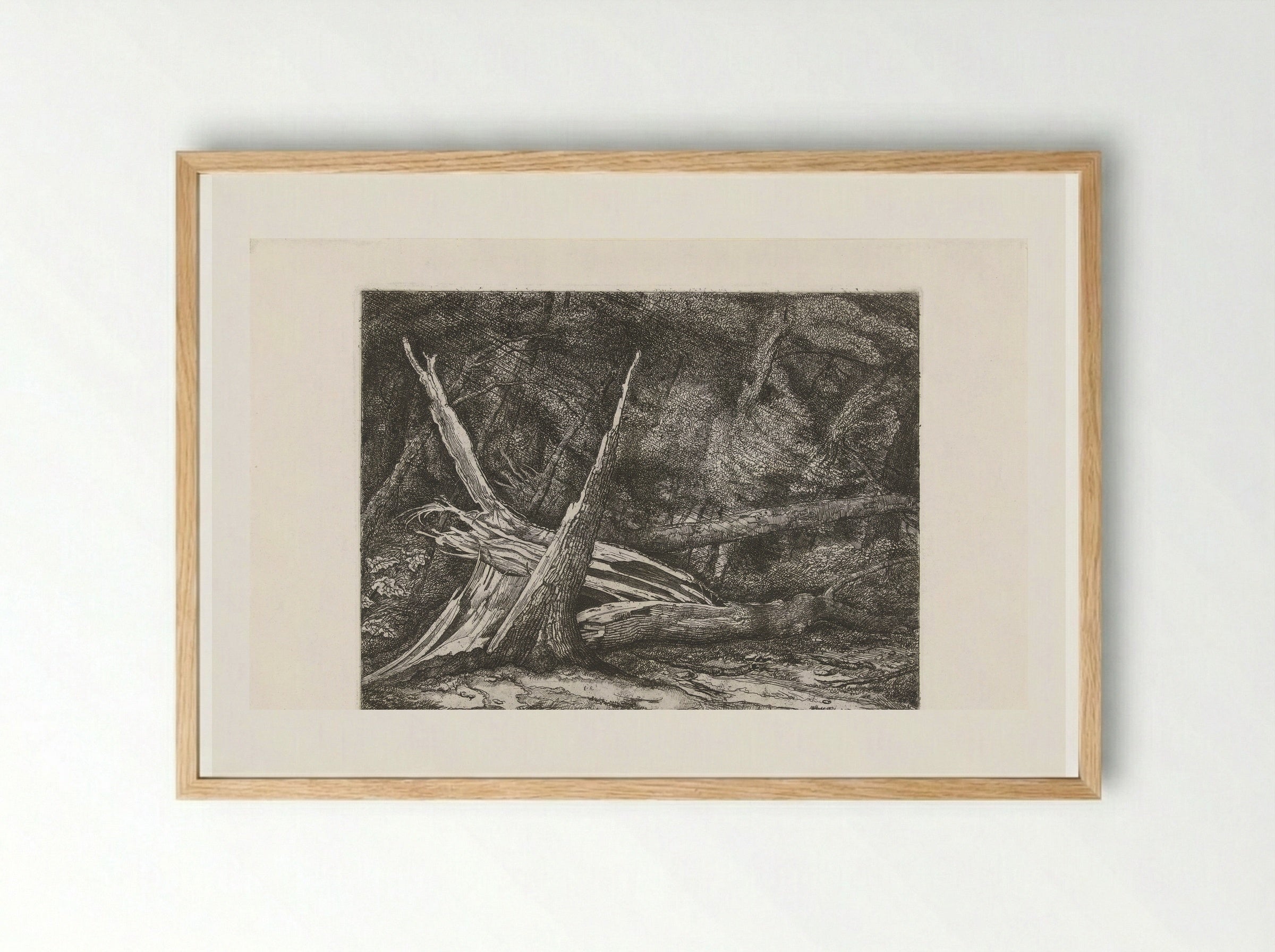 Gevelde bomen na een storm - Jacobus Ludovicus Cornet - Framed Print Wood