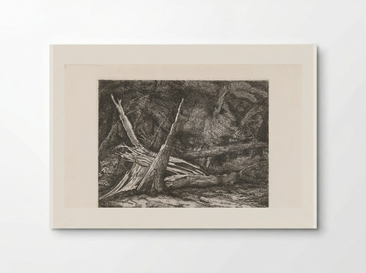 Gevelde bomen na een storm - Jacobus Ludovicus Cornet - Poster