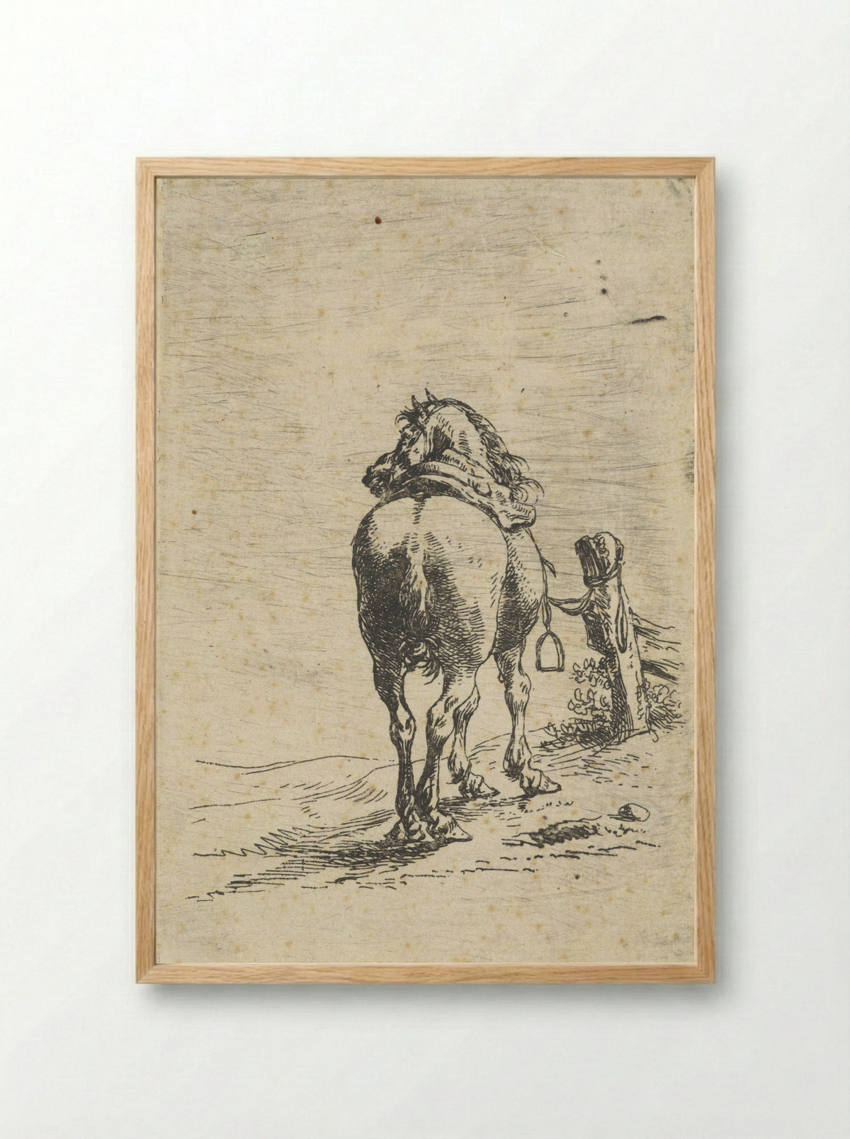 Gezadeld paard aan een paal - Pieter Cornelisz. Verbeeck - Framed Print Wood