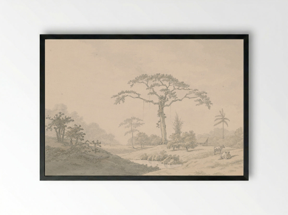 Gezicht bij een hoeve in Suriname - Nicolaas Box - Framed Print Black