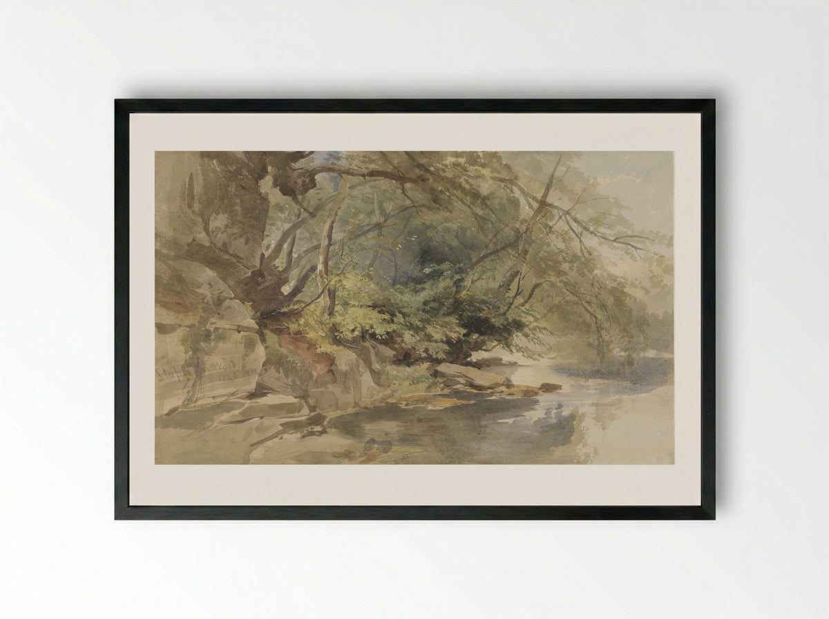 Gezicht in Stapleton Wood, bij Bristol - William James Muller - Framed Print Black