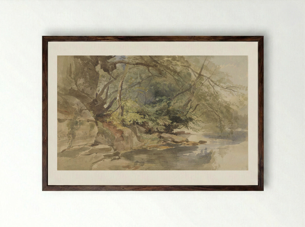 Gezicht in Stapleton Wood, bij Bristol - William James Muller - Framed Print Dark Wood