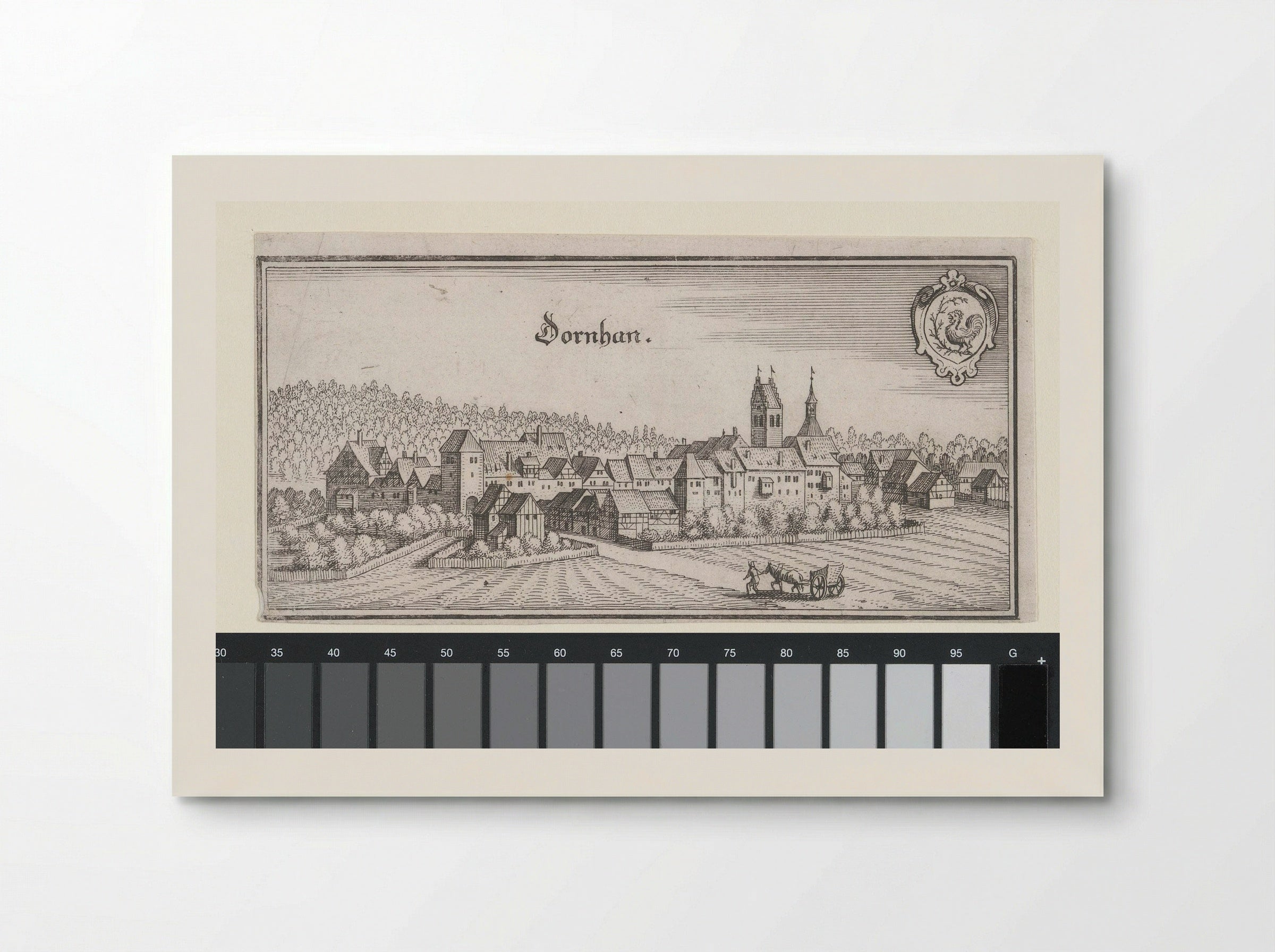 Gezicht op Dornhan - Matthäus Merian (I) - Poster