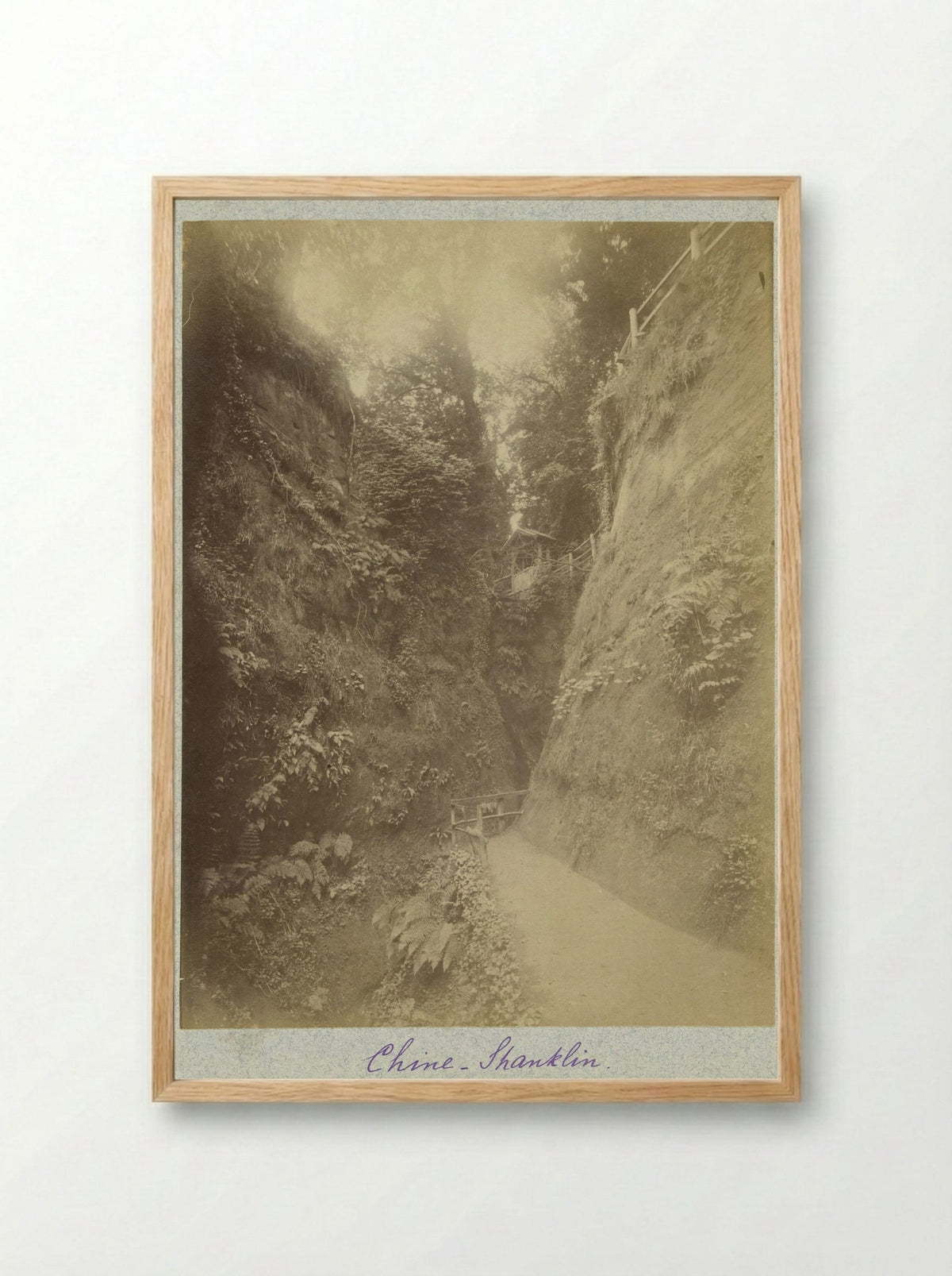 Gezicht op de Shanklin Chine - Henry Pauw van Wieldrecht - Framed Print Wood