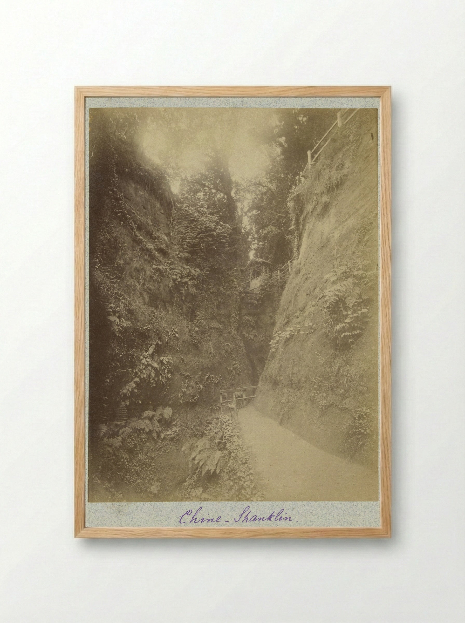 Gezicht op de Shanklin Chine - Henry Pauw van Wieldrecht - Framed Print Wood