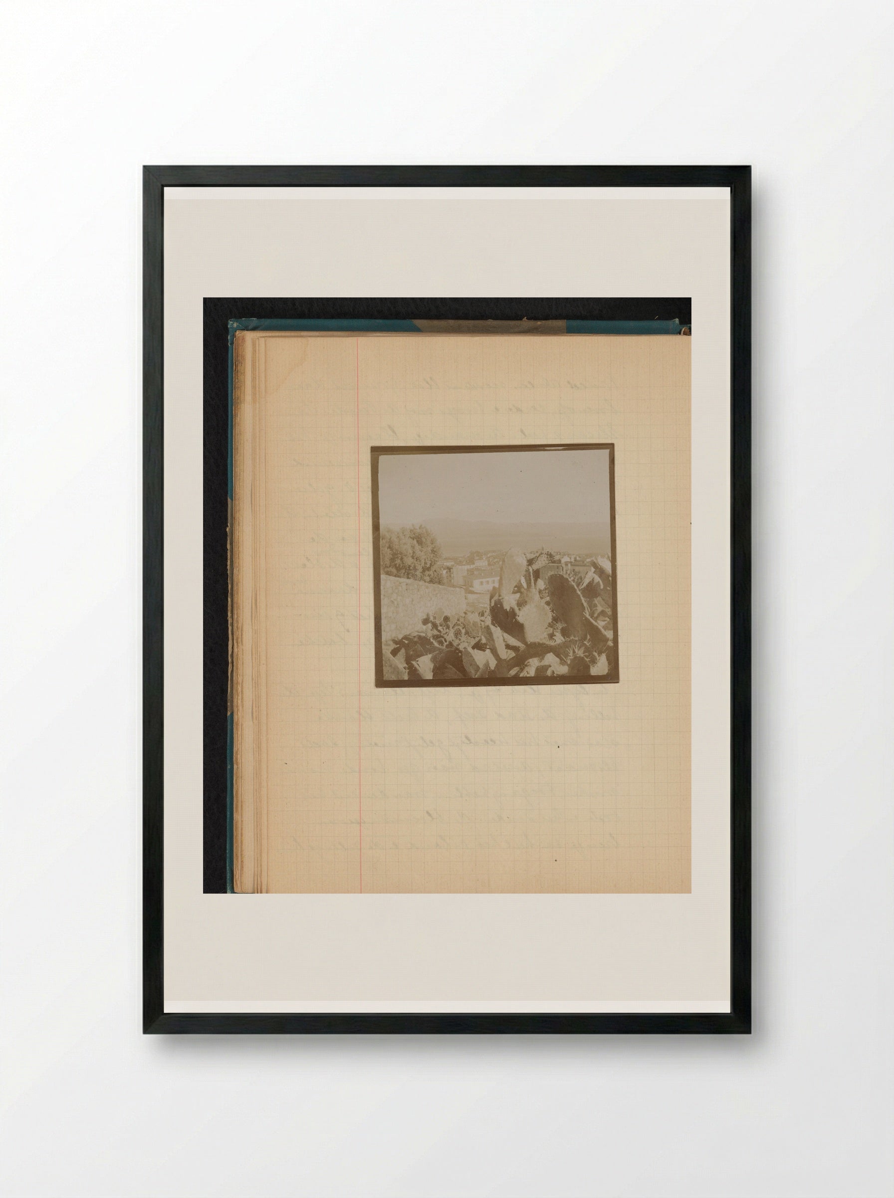 Gezicht op de baai van Ajaccio met cactussen ervoor - Théodore van Lelyveld - Framed Print Black