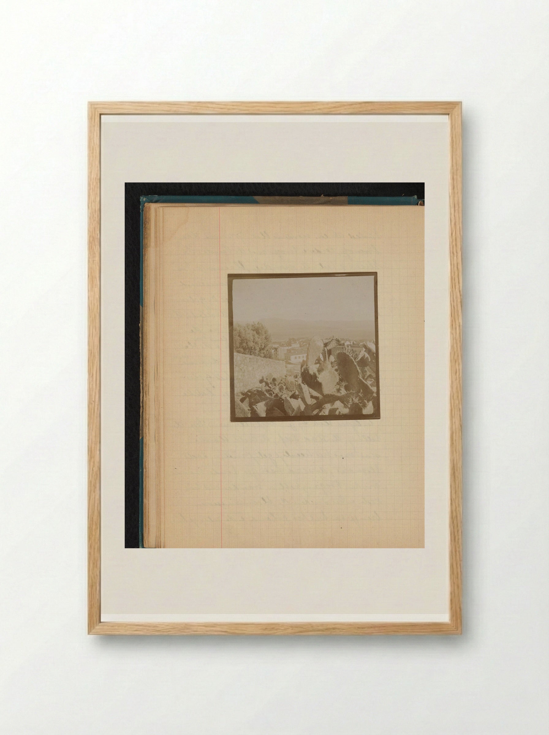 Gezicht op de baai van Ajaccio met cactussen ervoor - Théodore van Lelyveld - Framed Print Wood