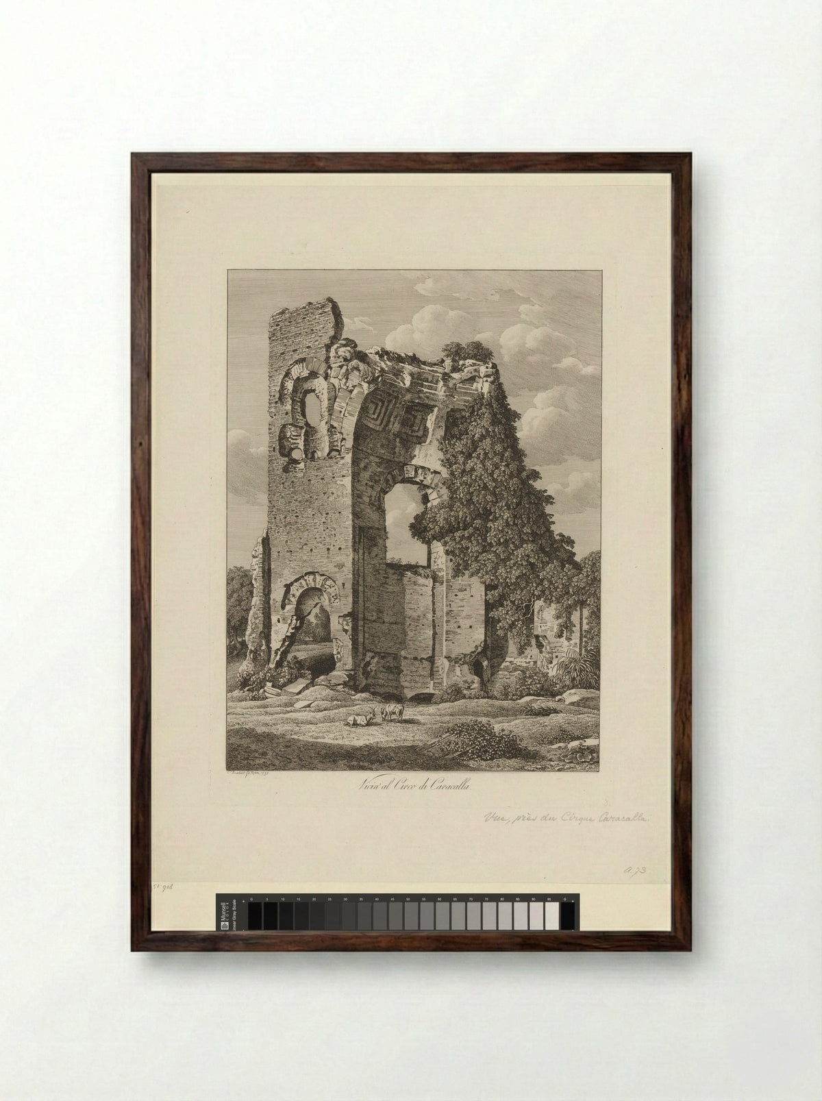 Gezicht op de ruïne van het Circus van Maxentius - Johann Friedrich Frauenholz - Framed Print Dark Wood