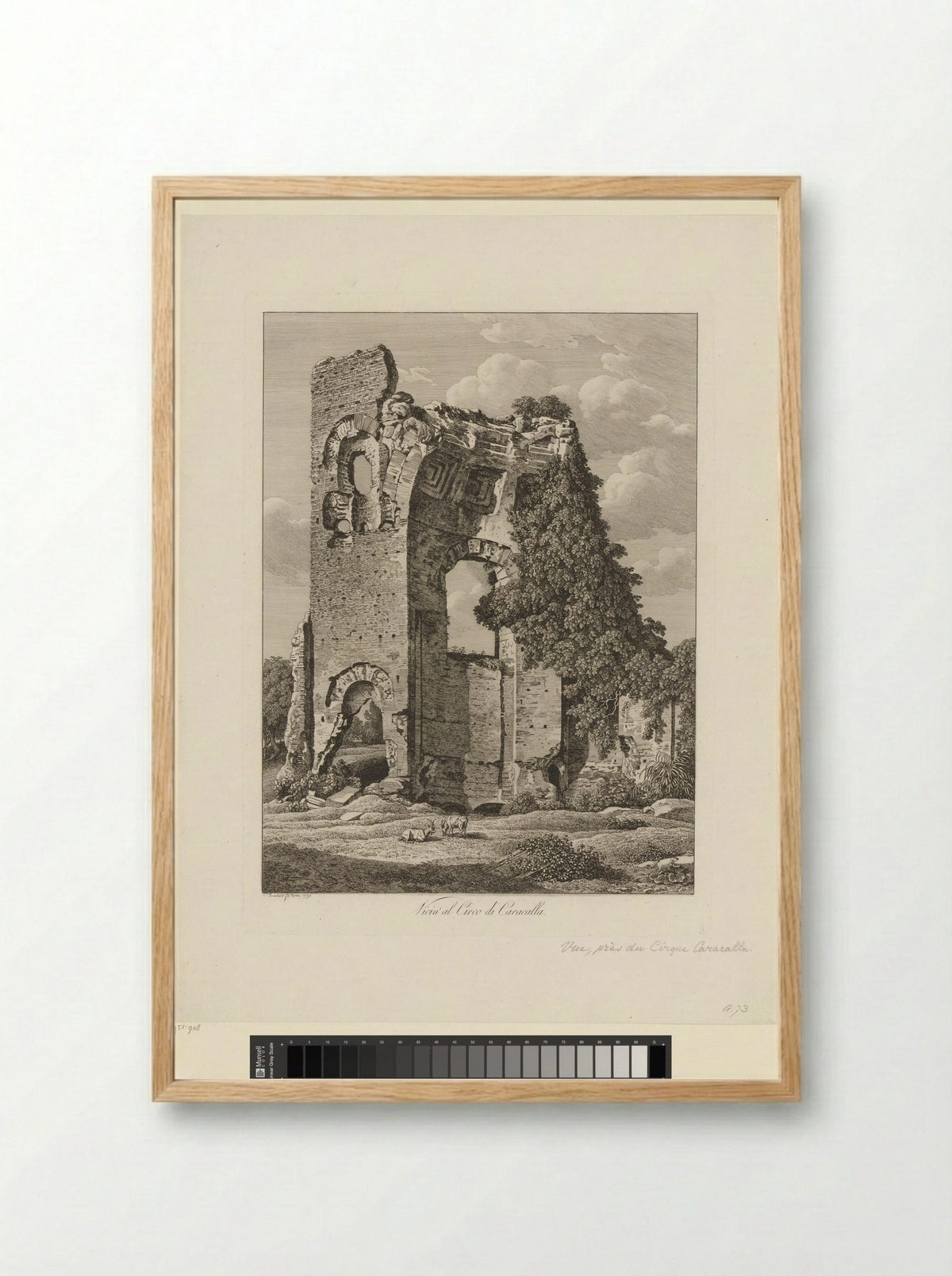 Gezicht op de ruïne van het Circus van Maxentius - Johann Friedrich Frauenholz - Framed Print Wood