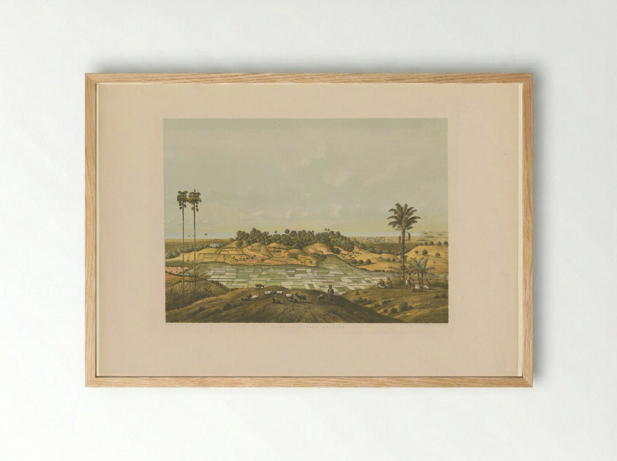 Gezicht op een landschap bij Samarang - Carl Wilhelm Mieling - Framed Print Wood