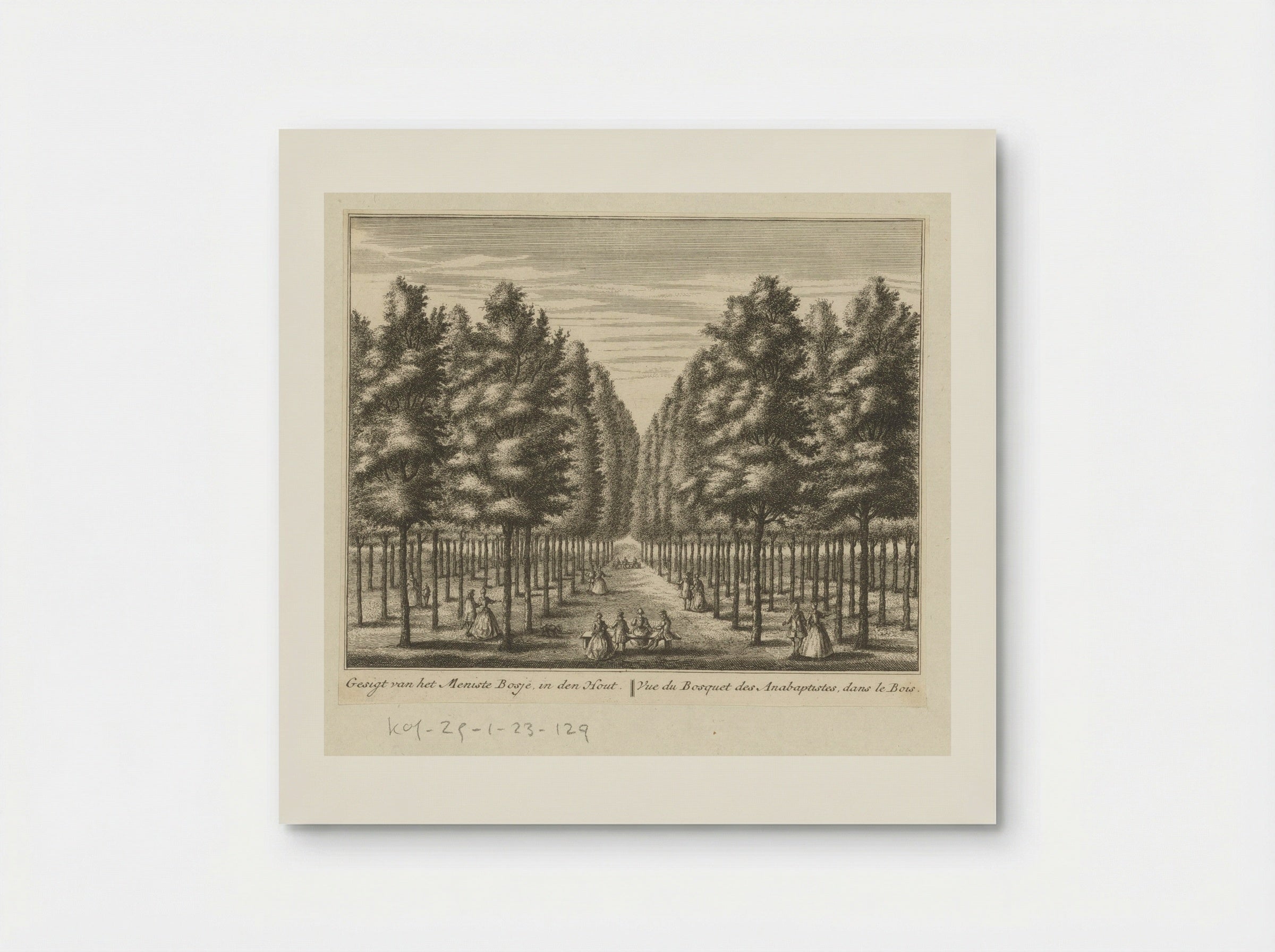 Gezicht op het Mennistenbosje in de Alkmaarder Hout - Leonard Schenk - Poster