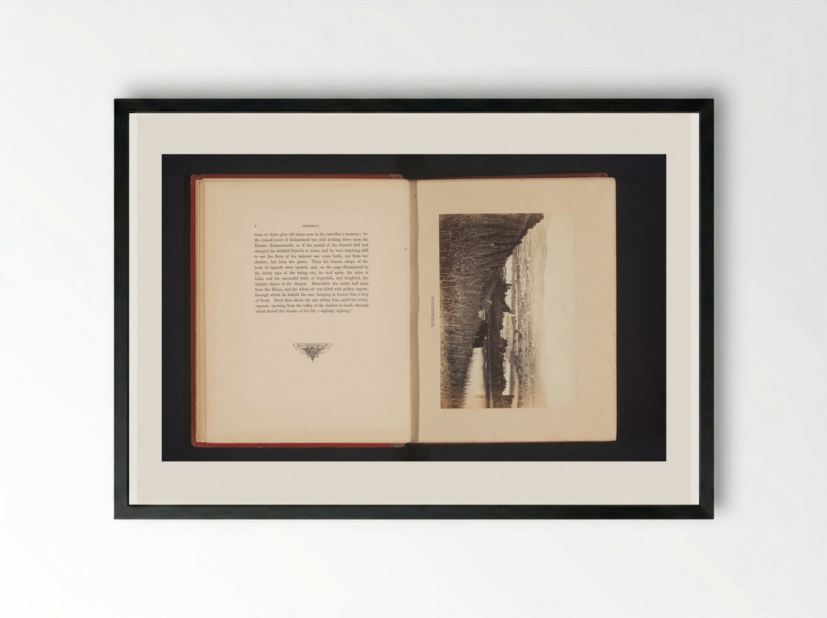 Gezicht op het eiland Nonnenwerth - Francis Frith - Framed Print Black