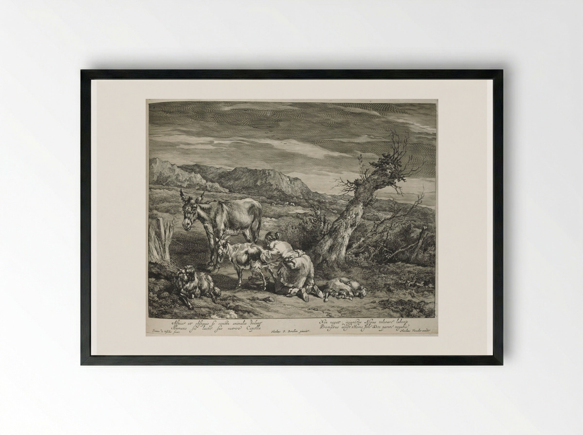 Girl Milking Goats - Johannes Visscher - Framed Print Black
