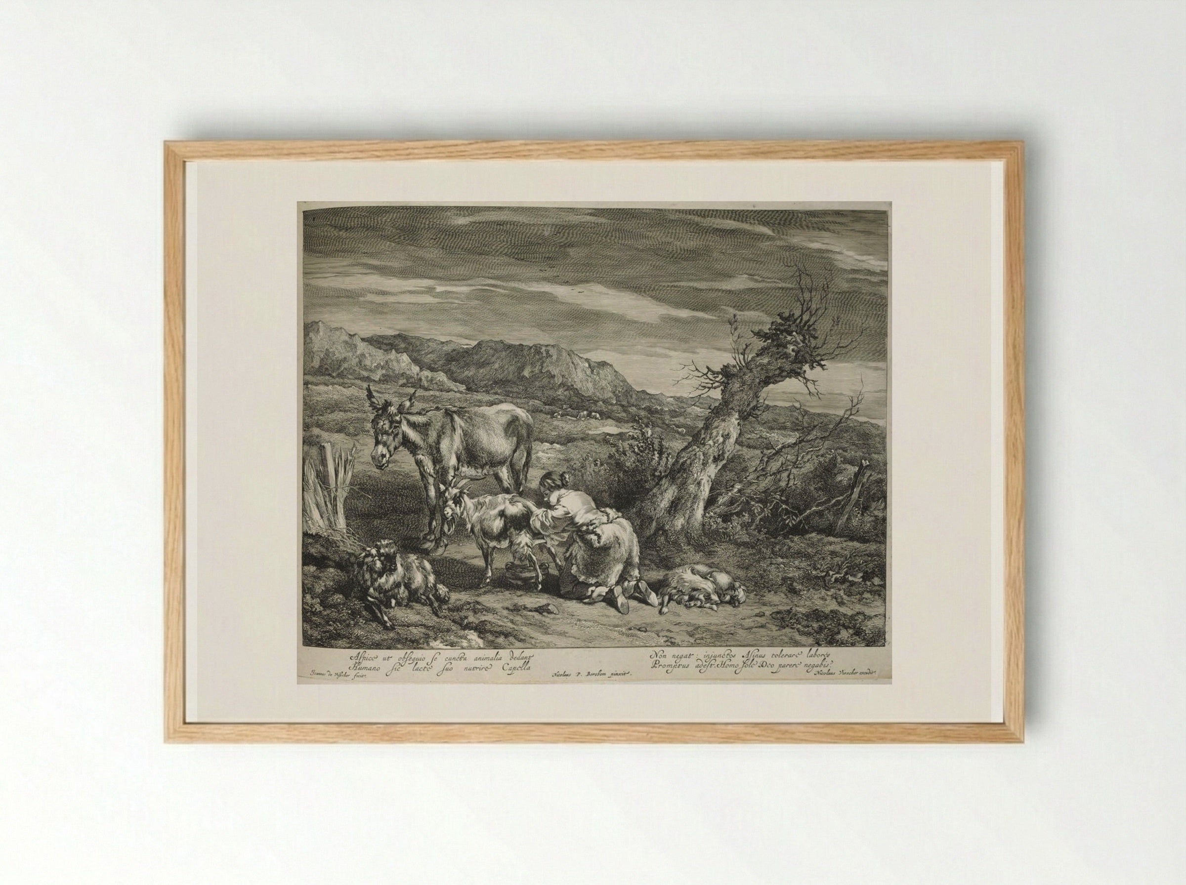 Girl Milking Goats - Johannes Visscher - Framed Print Wood