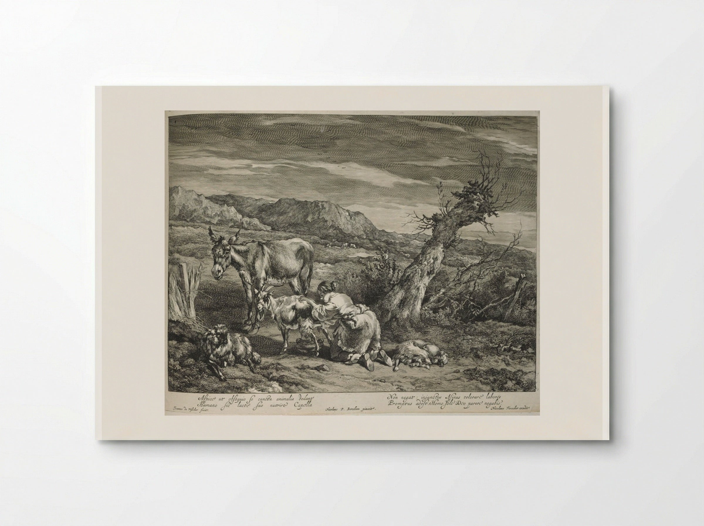 Girl Milking Goats - Johannes Visscher - Poster