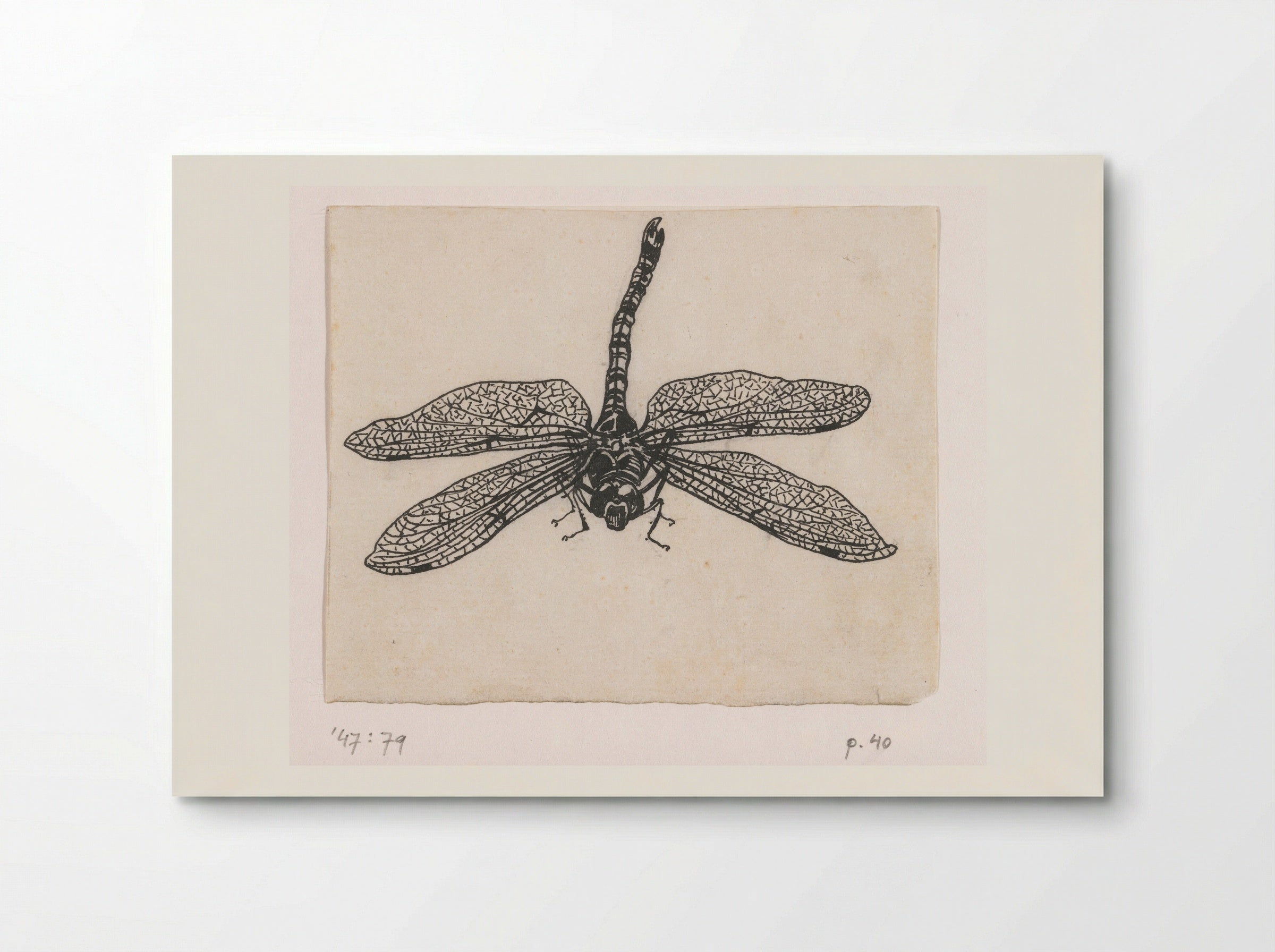 Glazenmaker (Dragonfly) - Willem Wenckebach - Poster