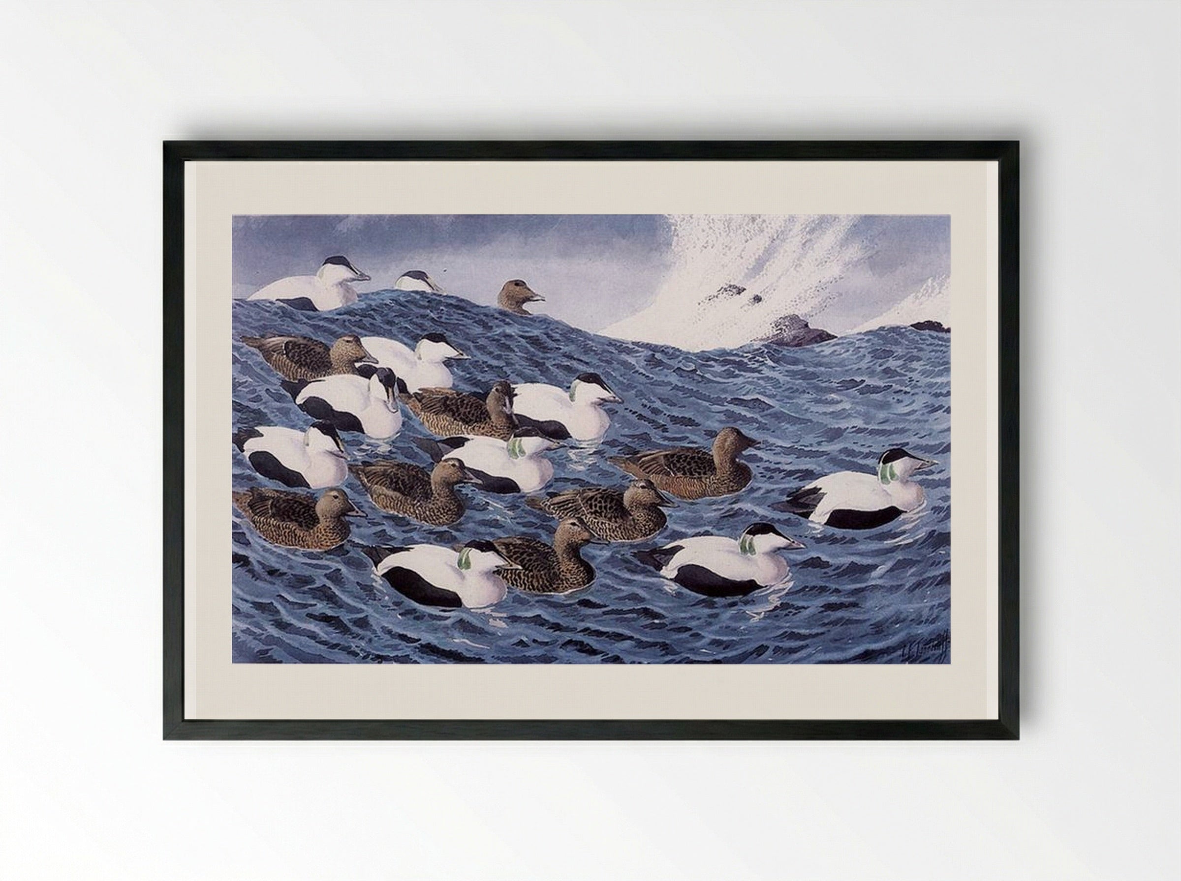 Gliders - Charles Tunnicliffe - Framed Print Black