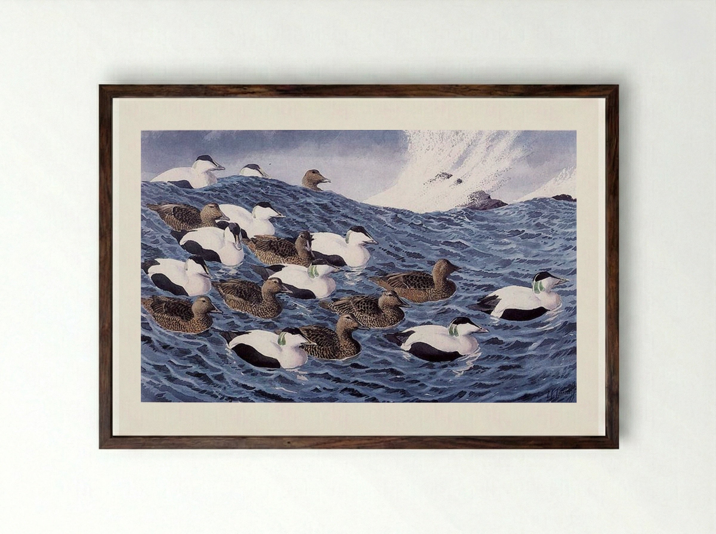 Gliders - Charles Tunnicliffe - Framed Print Dark Wood