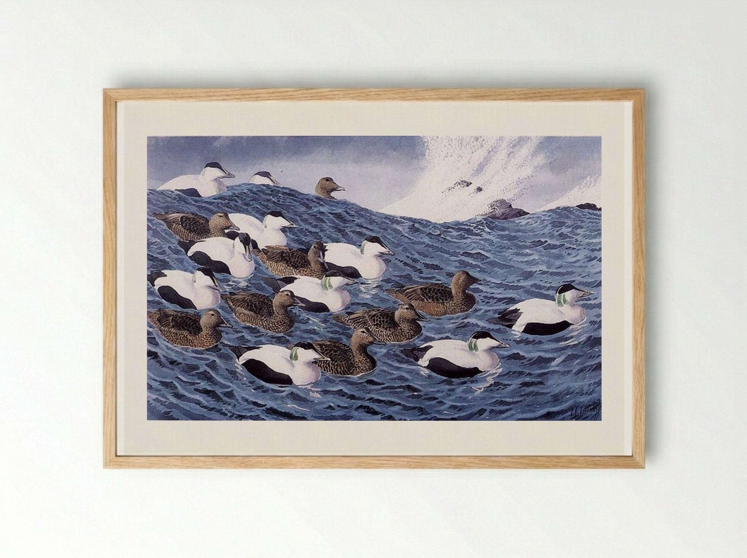 Gliders - Charles Tunnicliffe - Framed Print Wood