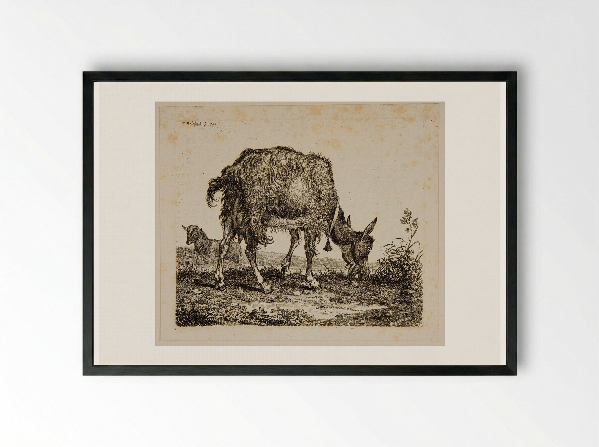 Goat Grazing - Johann Christian Reinhart - Framed Print Black