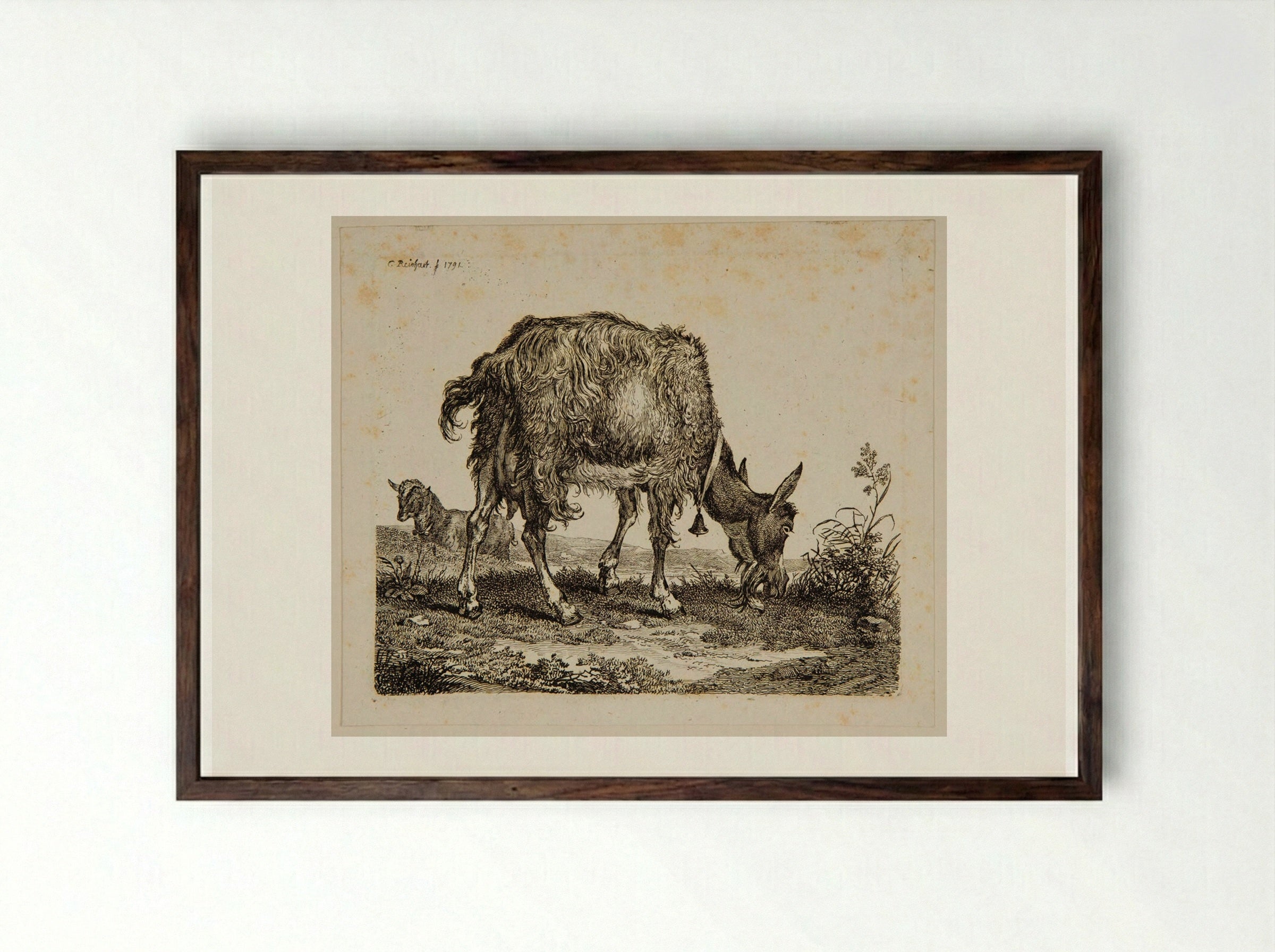 Goat Grazing - Johann Christian Reinhart - Framed Print Dark Wood