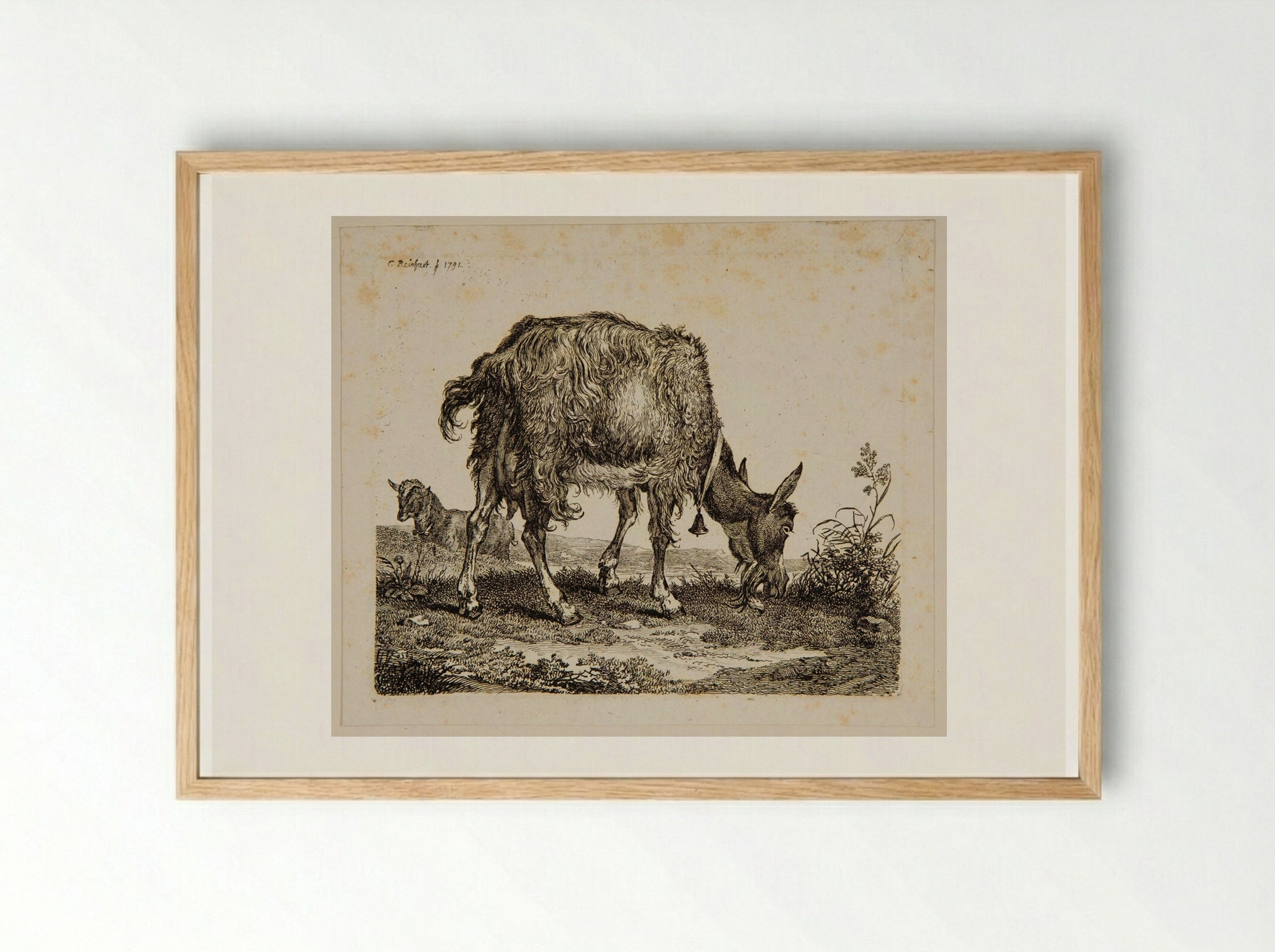 Goat Grazing - Johann Christian Reinhart - Framed Print Wood